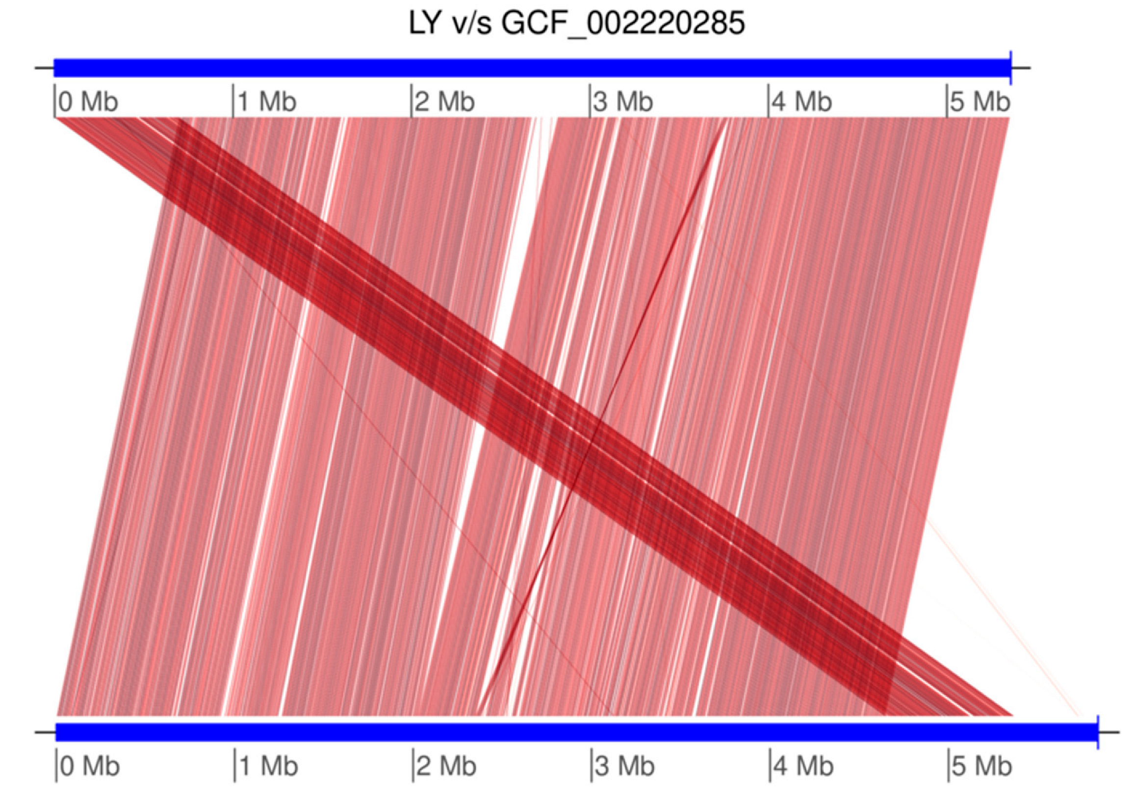 Microbiolres 16 00247 g003