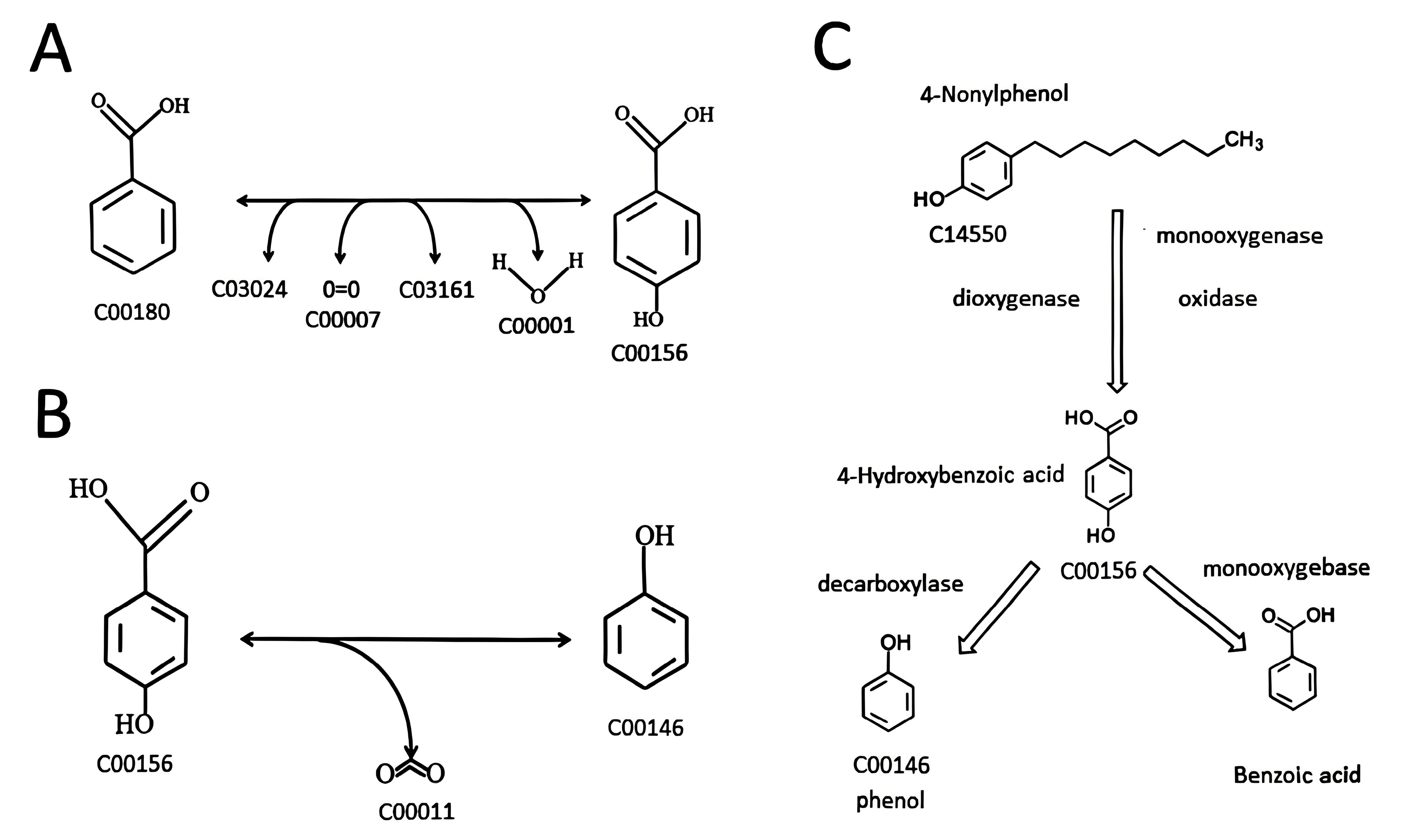 Microbiolres 16 00247 g006