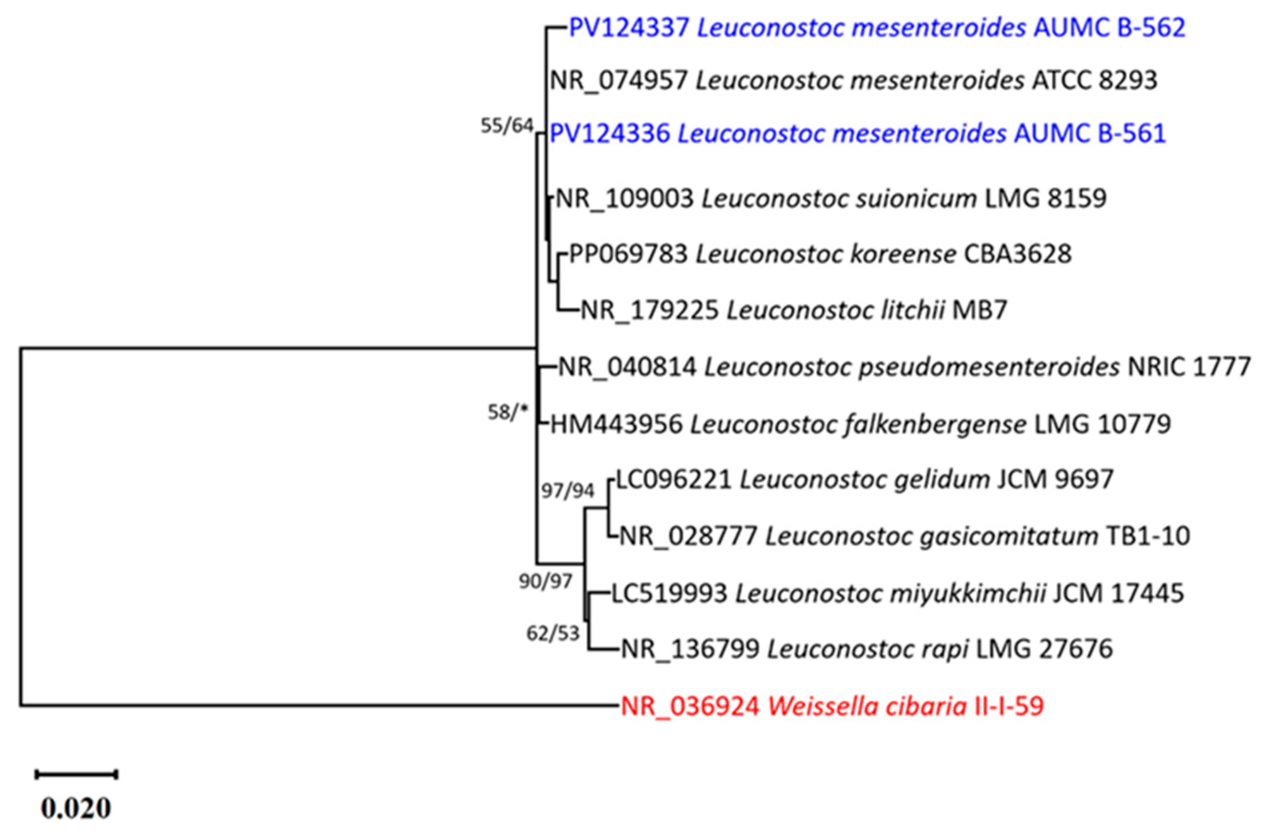 Microbiolres 16 00248 g004