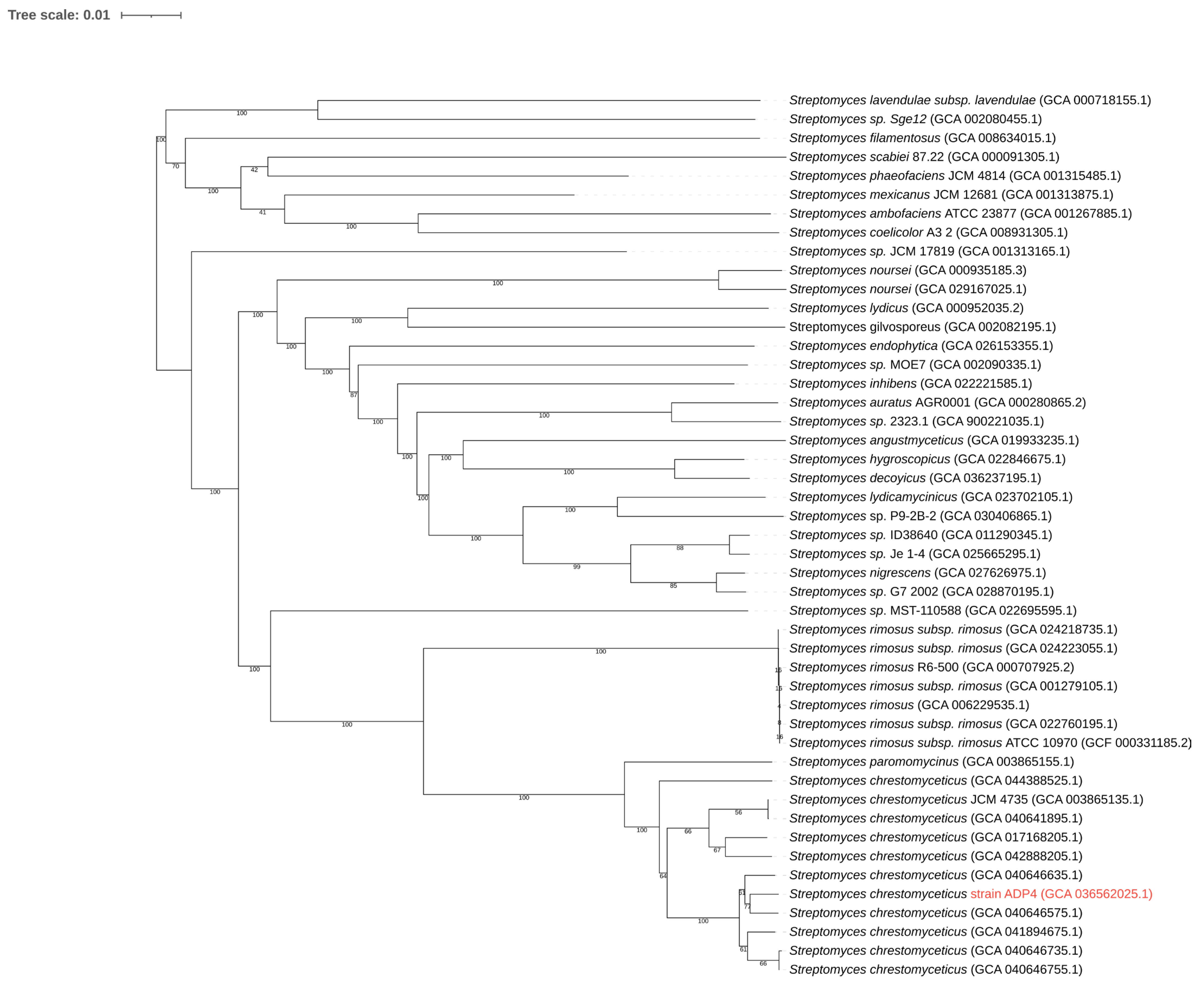 Microbiolres 16 00249 g002