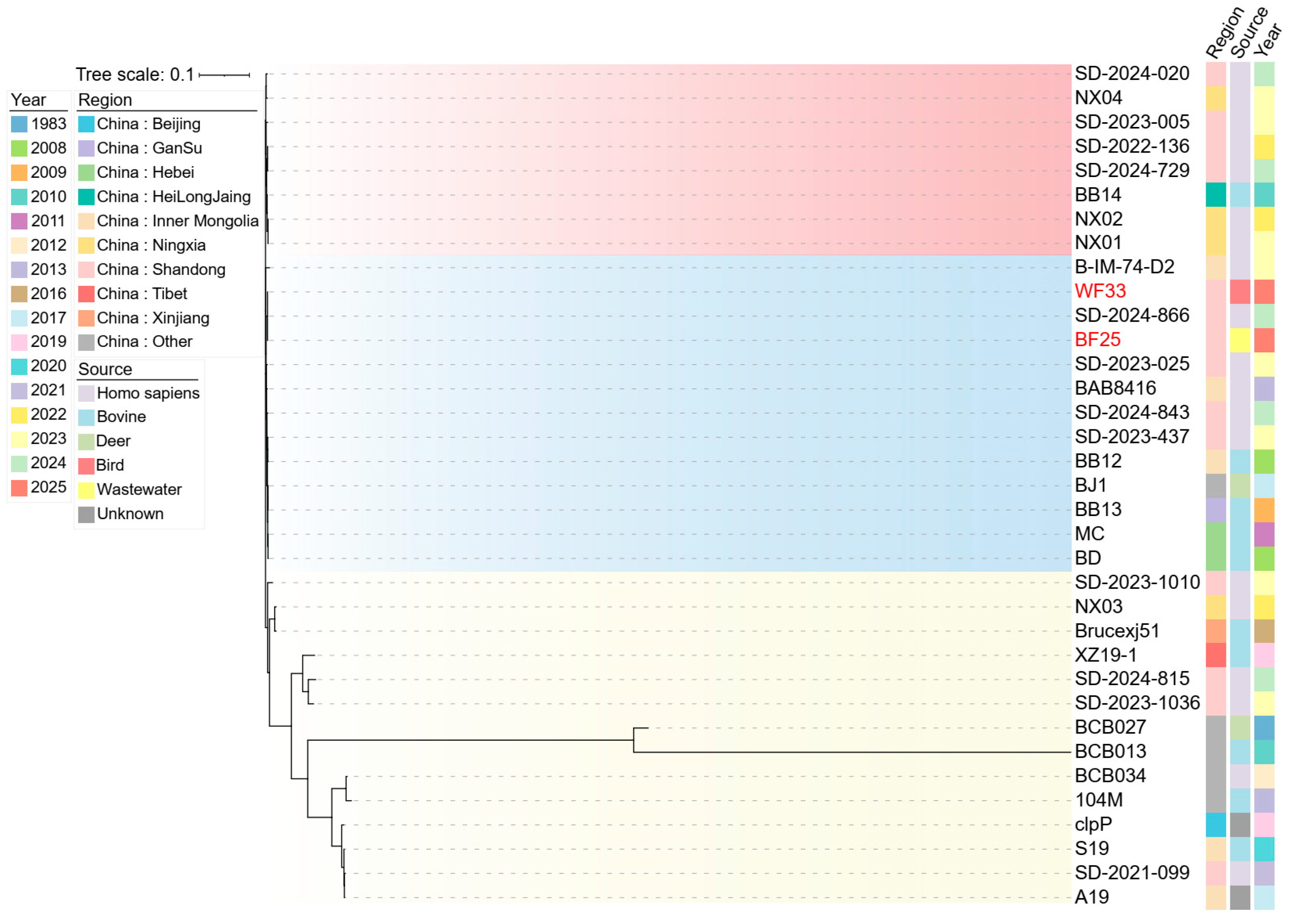 Microbiolres 16 00252 g004 Microbiolres 16 00252 g004