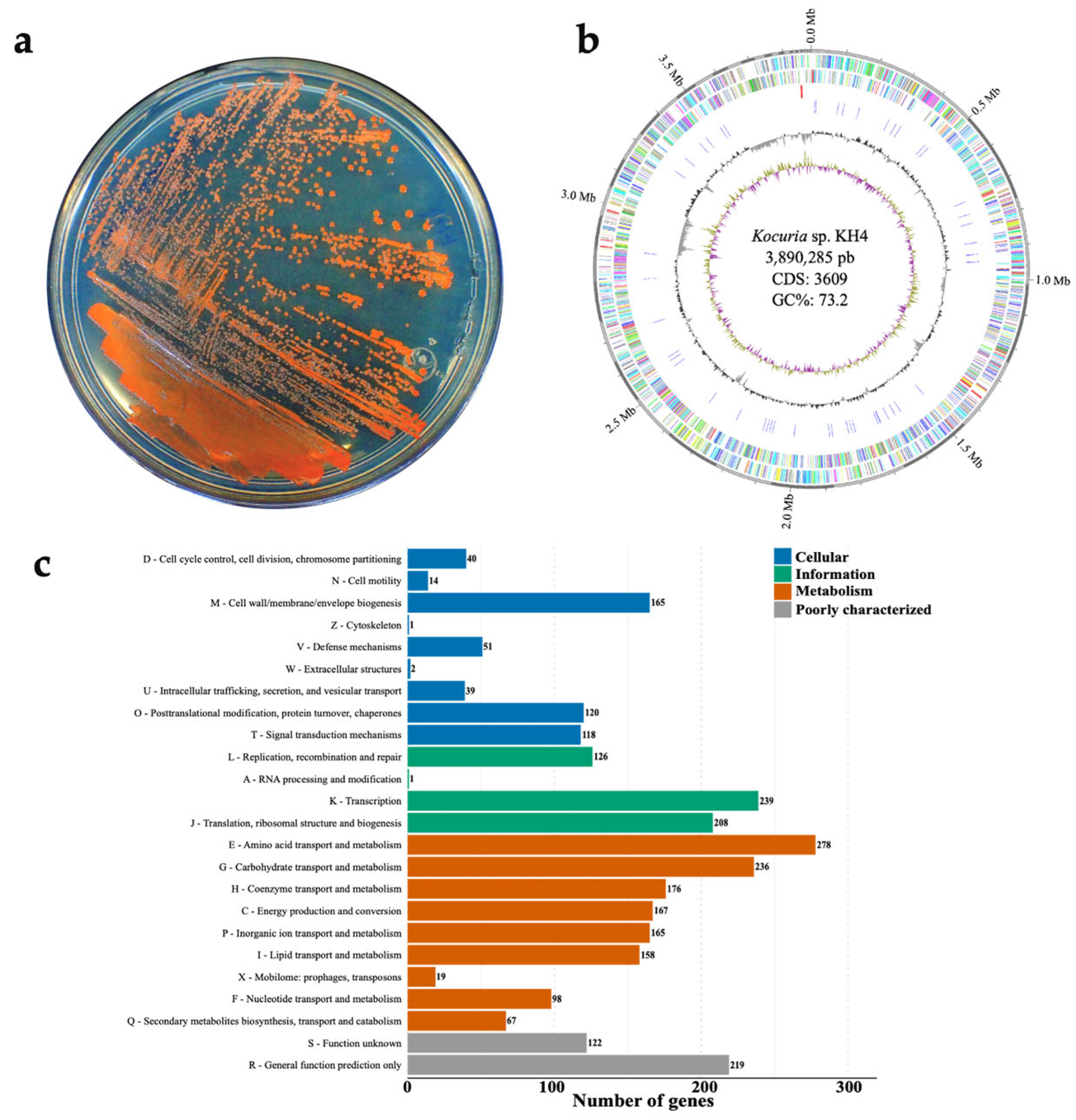 Microbiolres 16 00255 g001