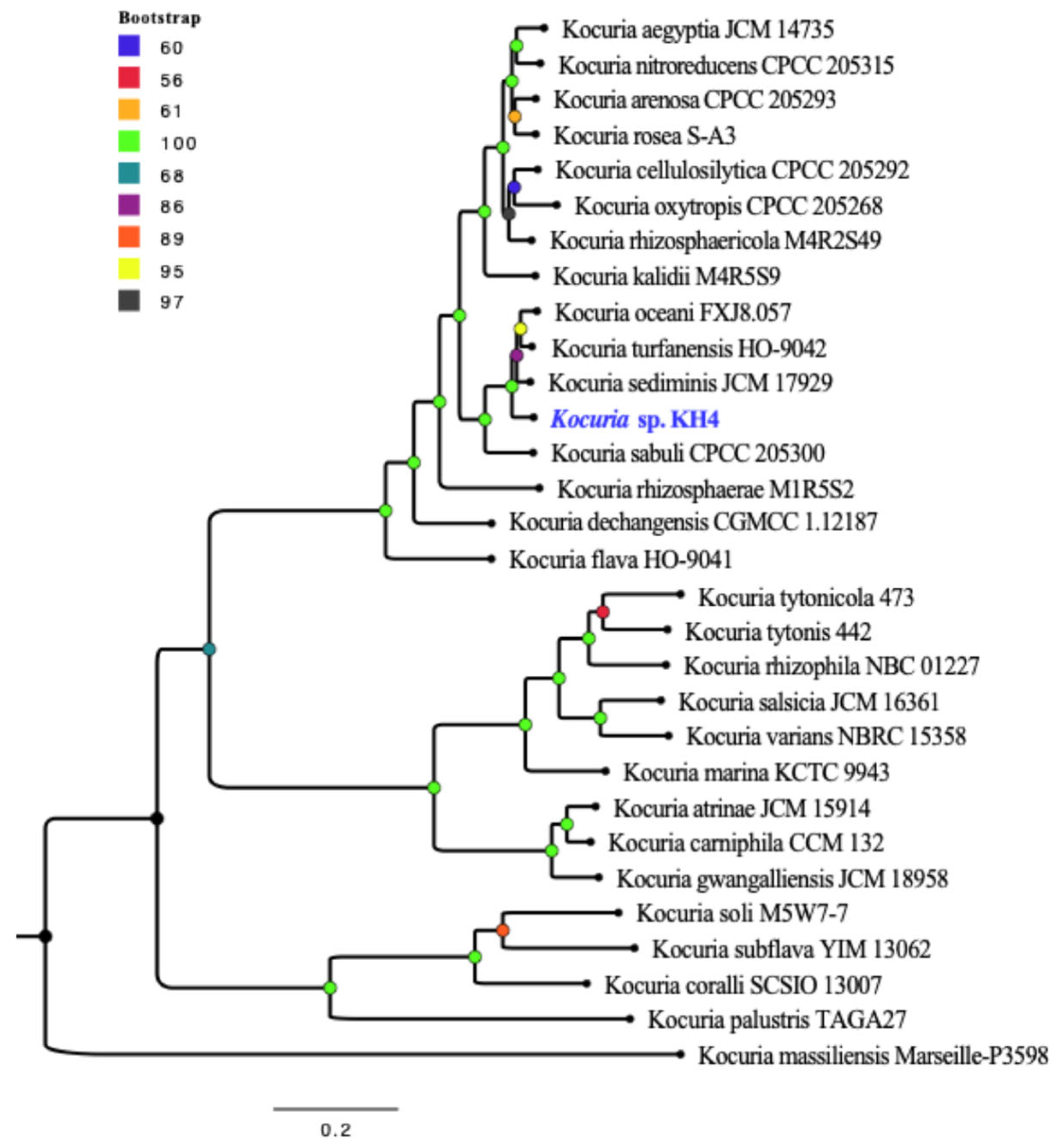 Microbiolres 16 00255 g002