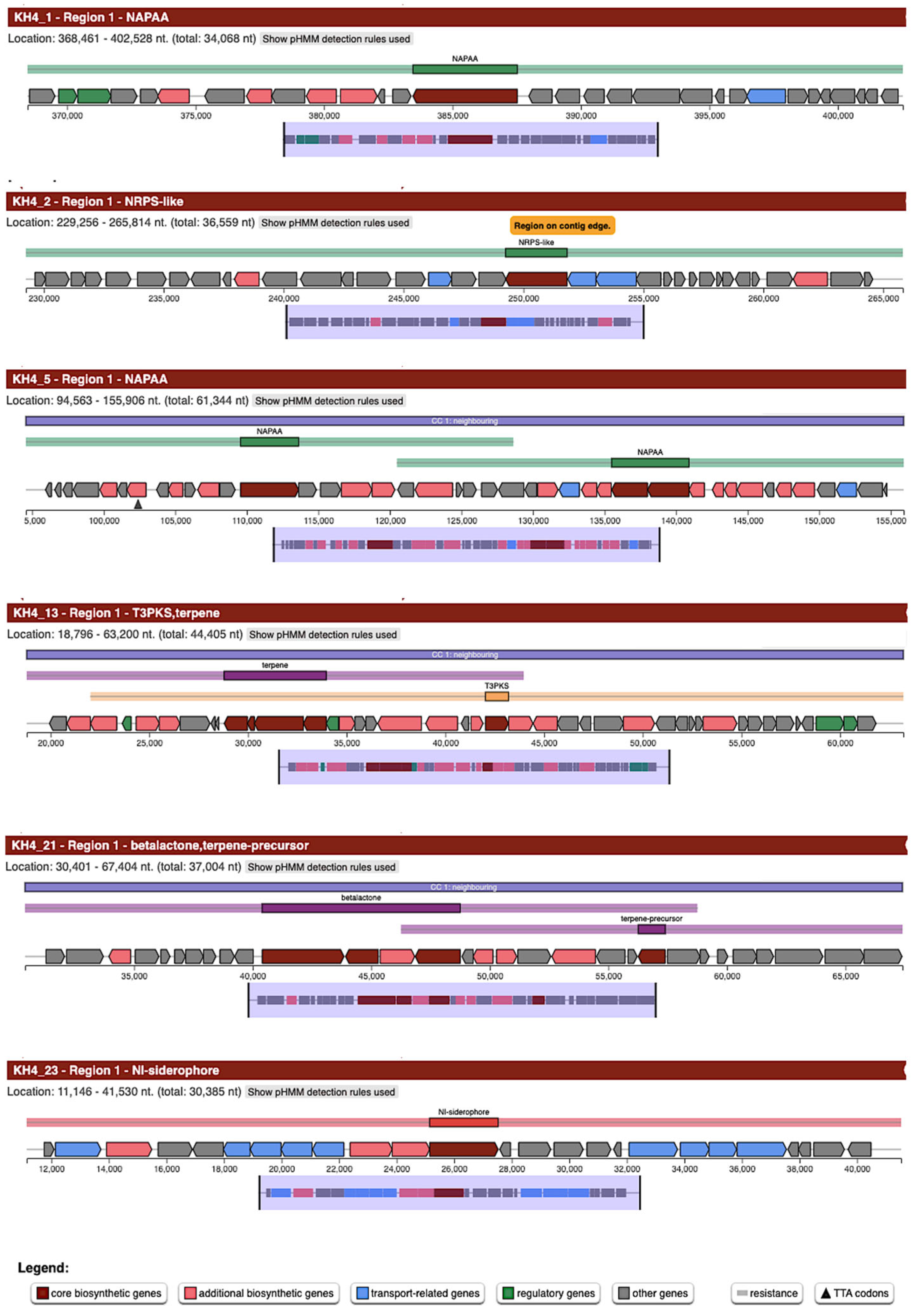 Microbiolres 16 00255 g006
