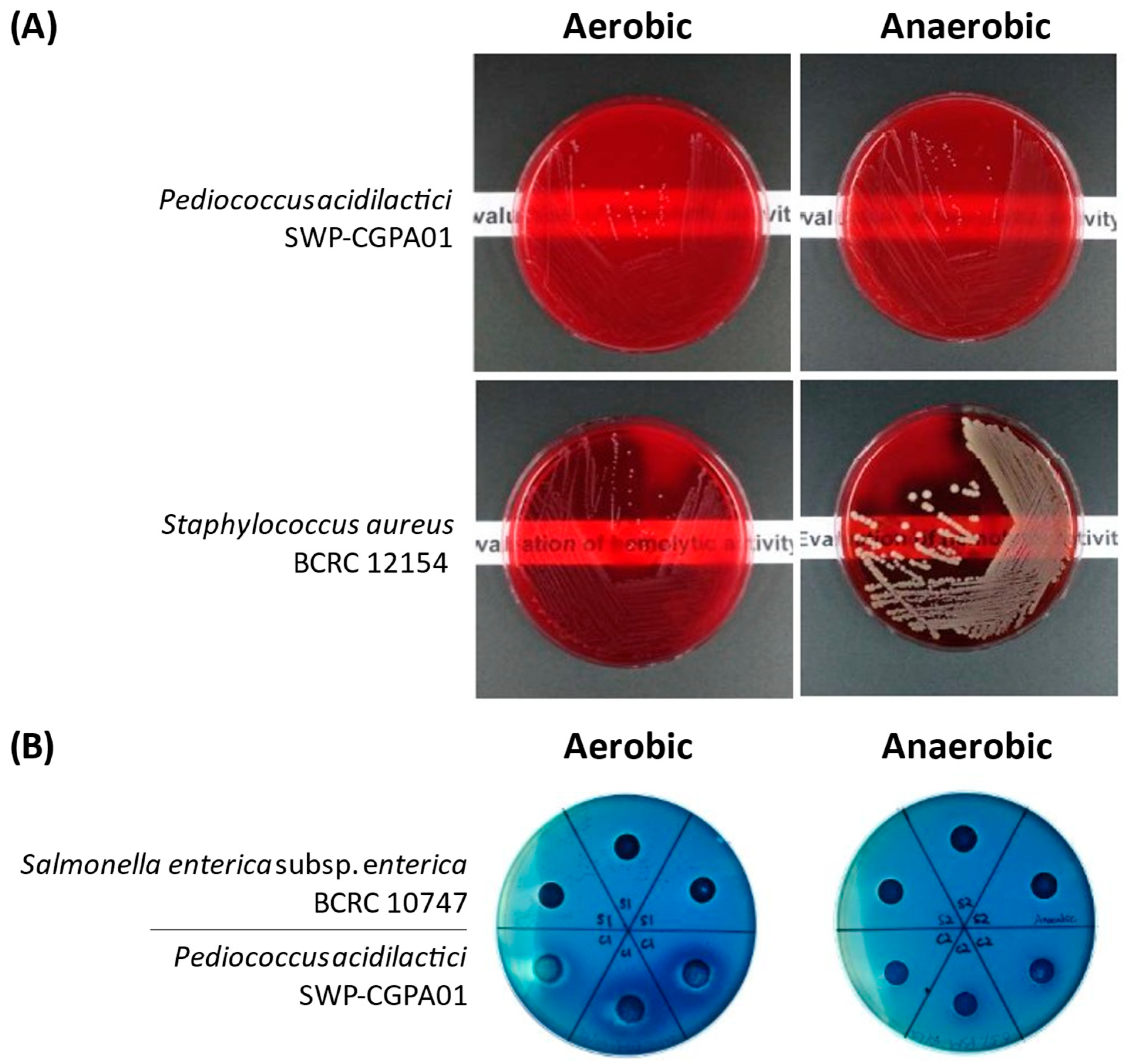 Microbiolres 16 00261 g002 Microbiolres 16 00261 g002
