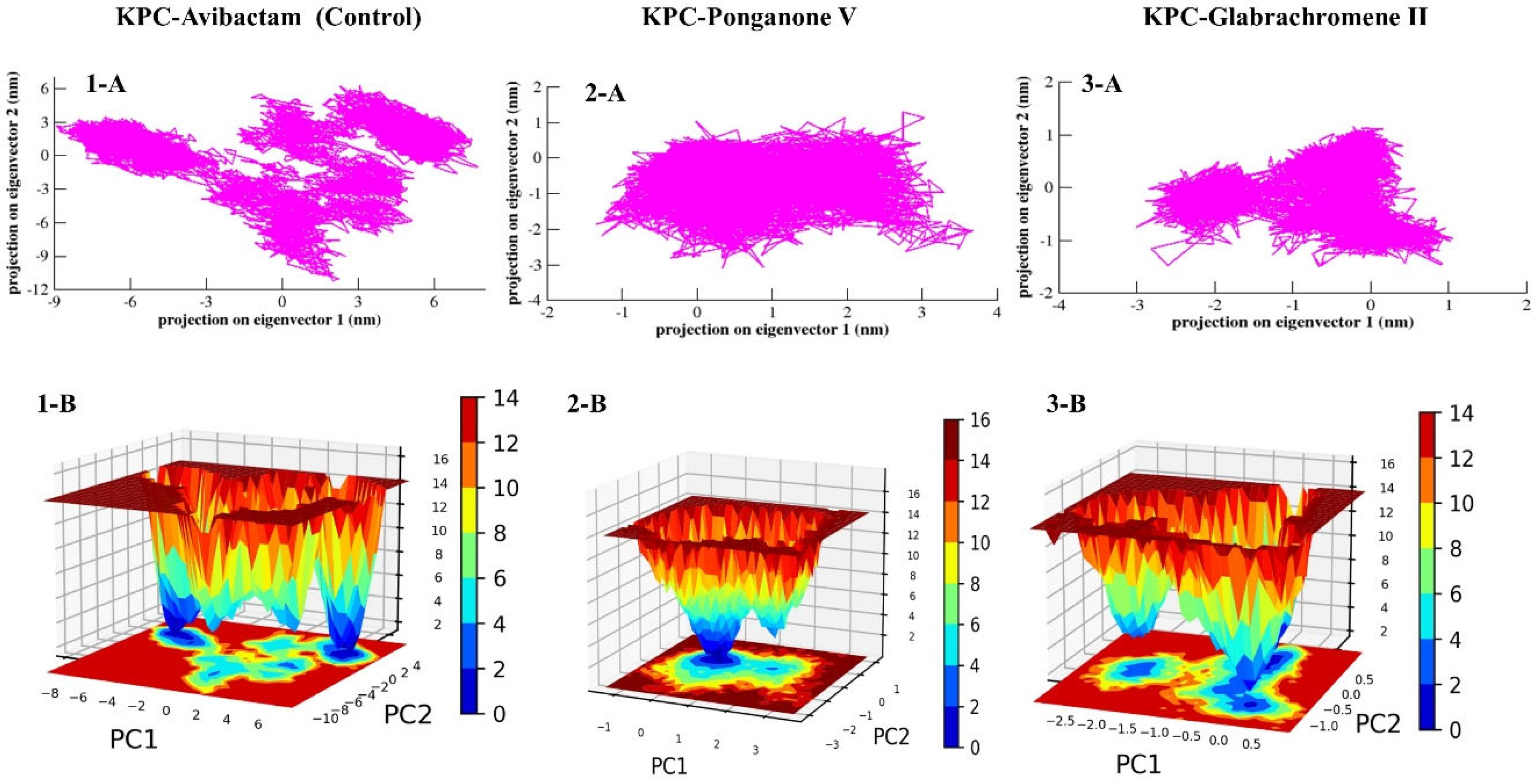 Microbiolres 16 00262 g008 Microbiolres 16 00262 g008