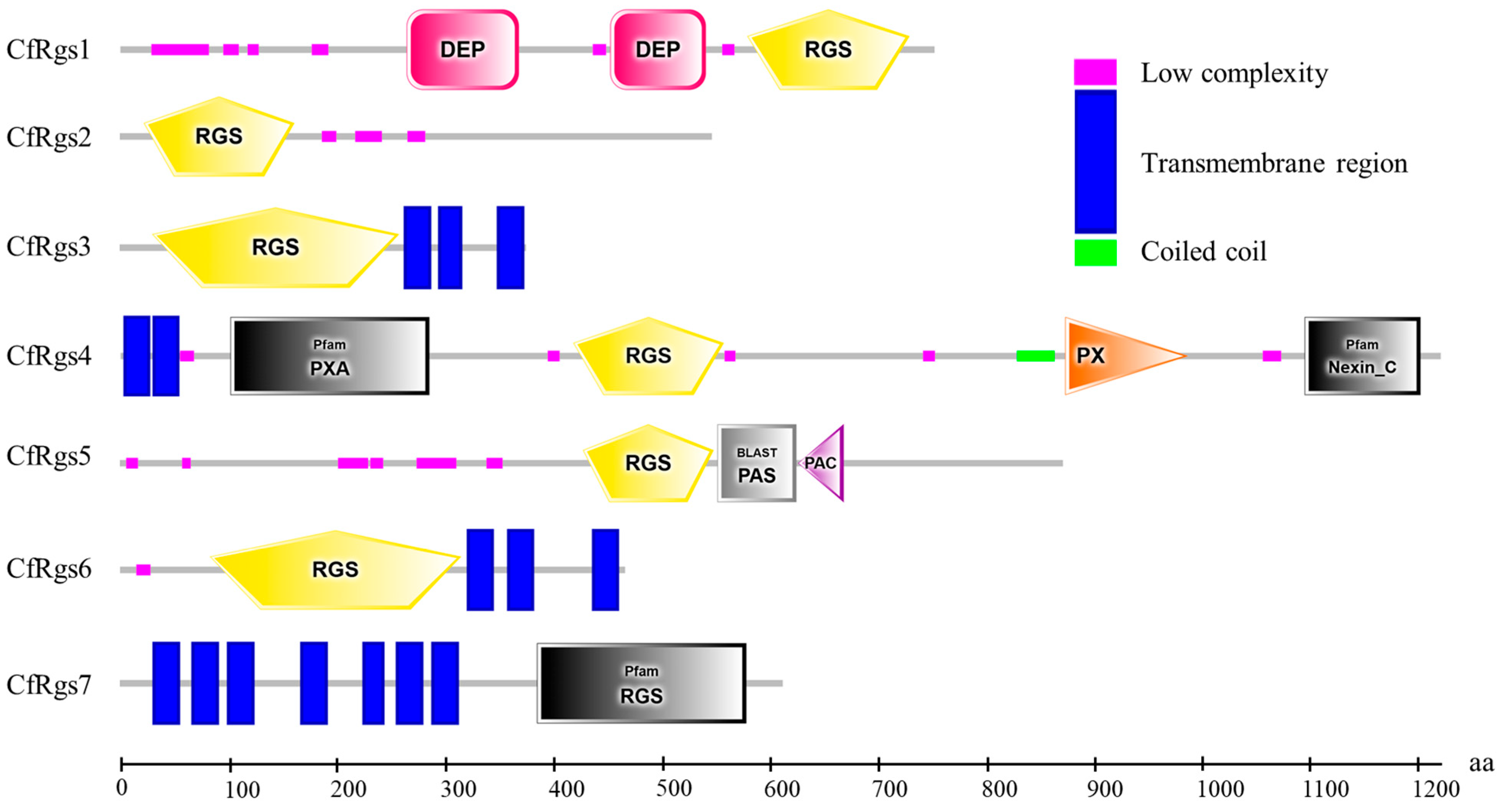Microbiolres 17 00053 g001 Microbiolres 17 00053 g001