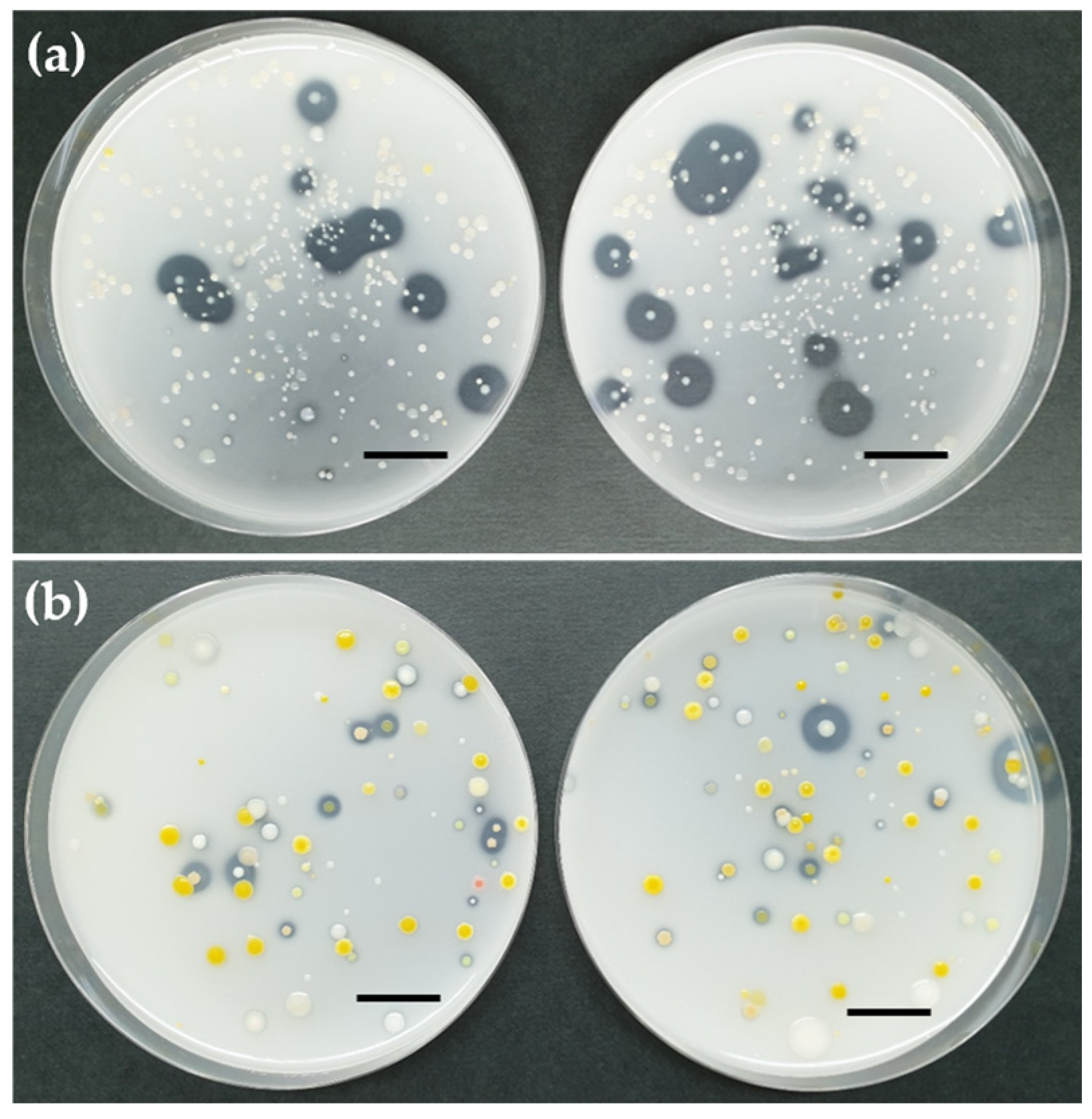 Microbiolres 17 00134 g002 Microbiolres 17 00134 g002