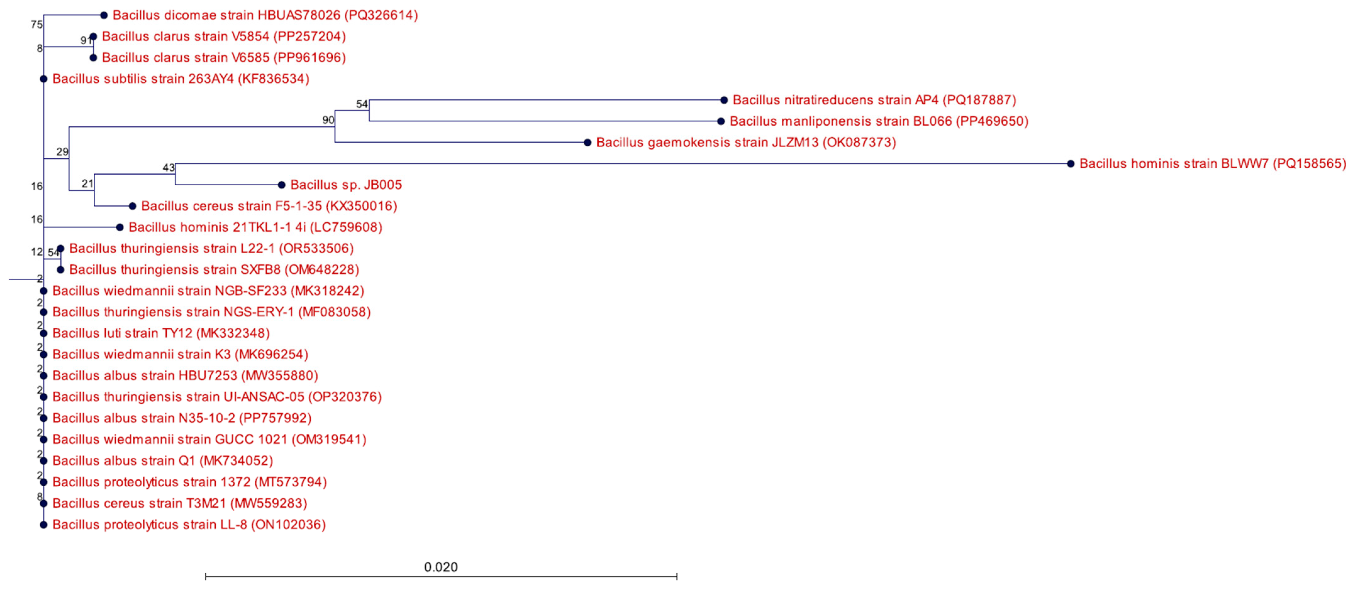 Microbiolres 17 00148 g006 Microbiolres 17 00148 g006
