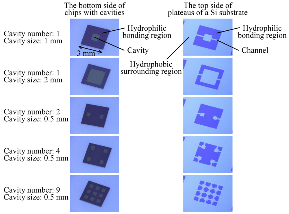 Micromachines 02 00049f2 1024