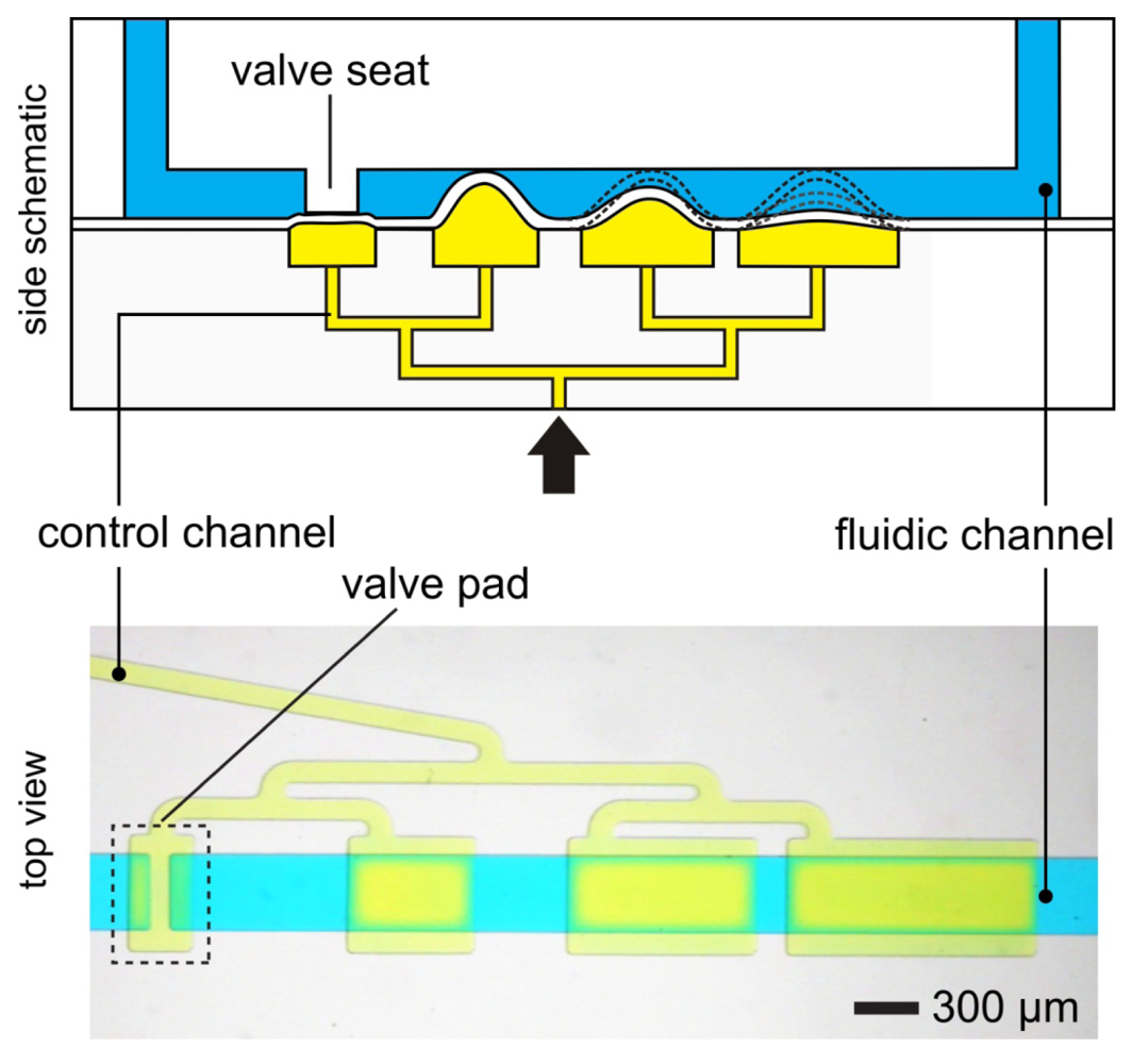 Micromachines 02 00179f26 1024