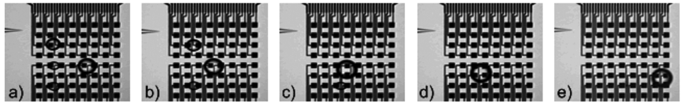 Micromachines 02 00179f36 1024