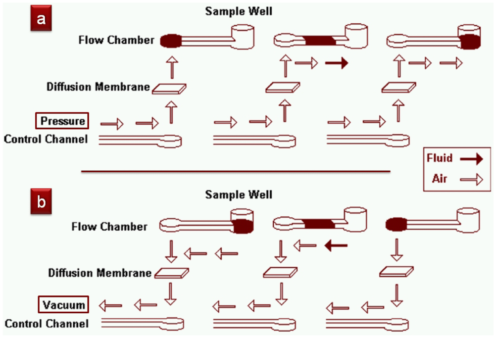 Micromachines 02 00179f38 1024