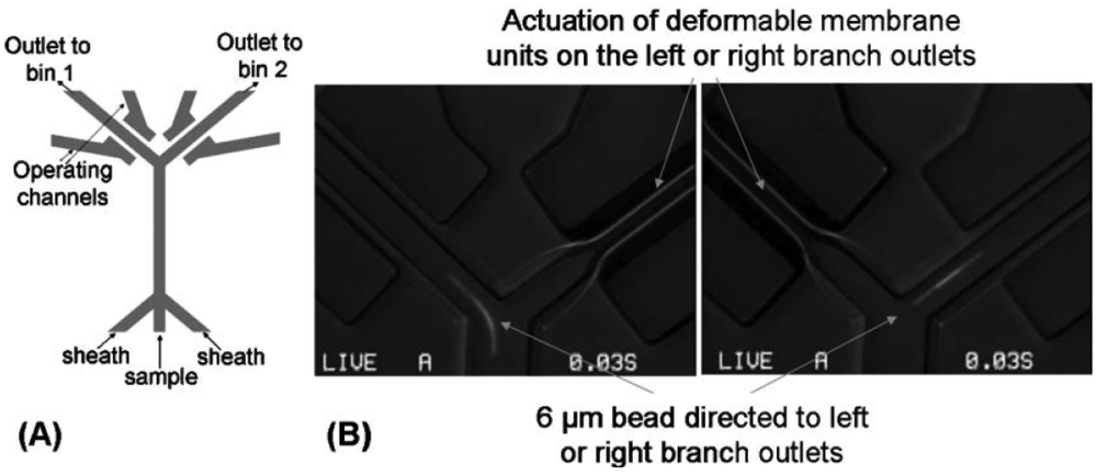 Micromachines 02 00179f5 1024