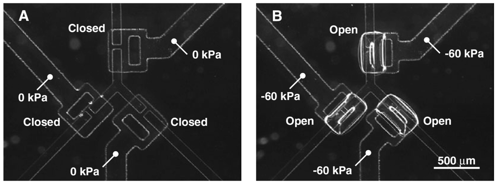 Micromachines 02 00179f6 1024