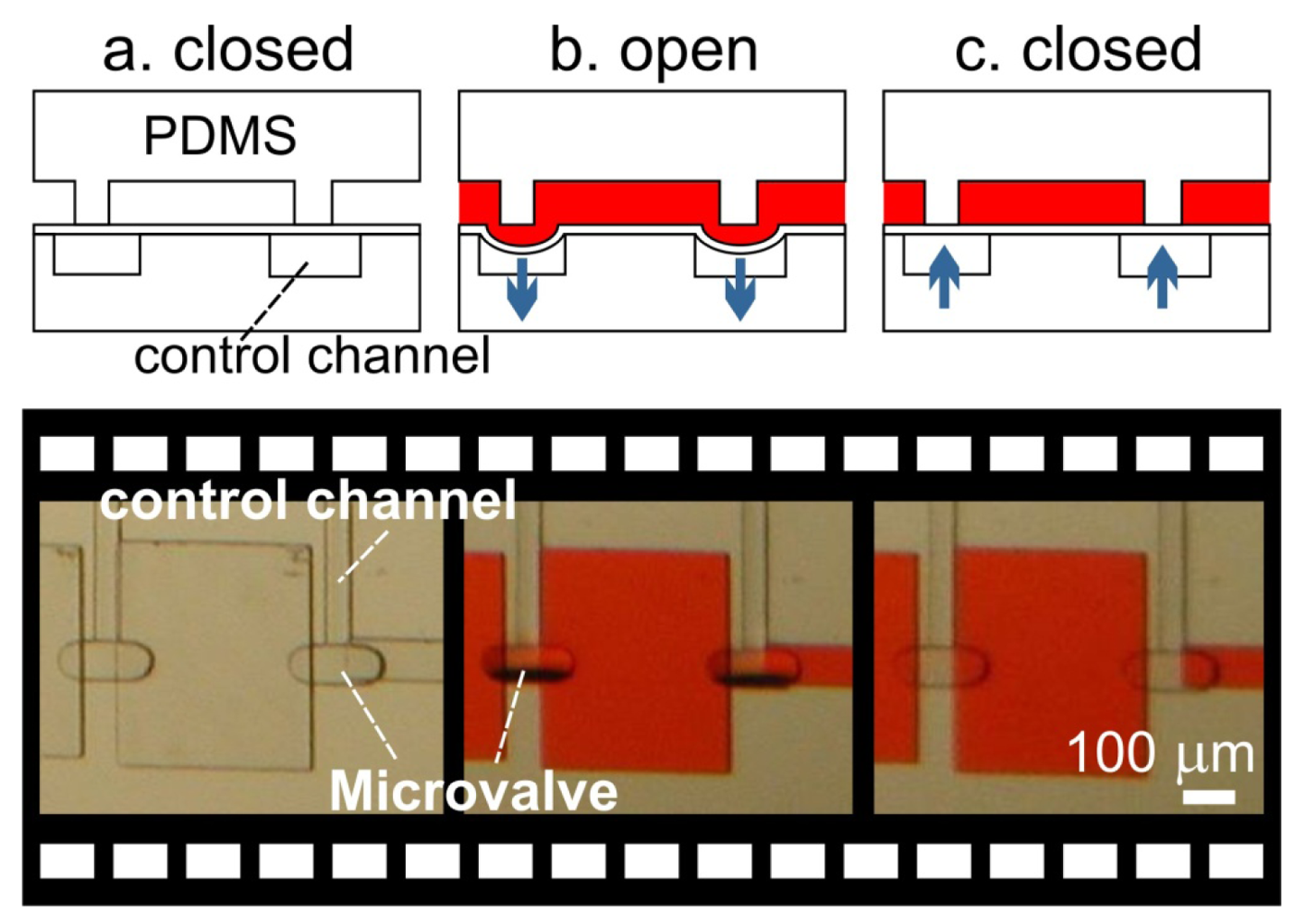 Micromachines 02 00179f8 1024
