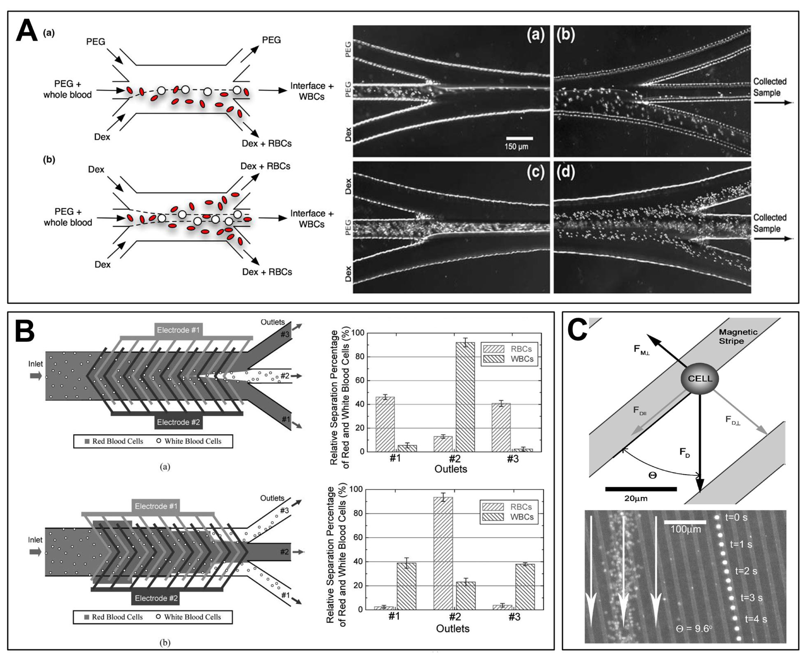 Micromachines 02 00319f5 1024