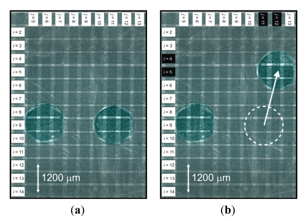 Micromachines 02 00369f5 1024
