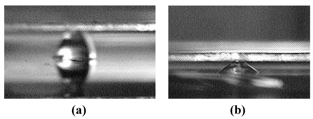 Micromachines 03 00010 g001 1024