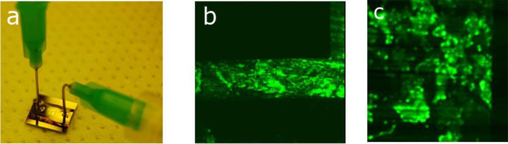 Micromachines 03 00114 g003 1024