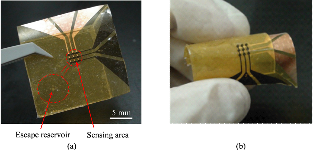 Micromachines 03 00137 g005