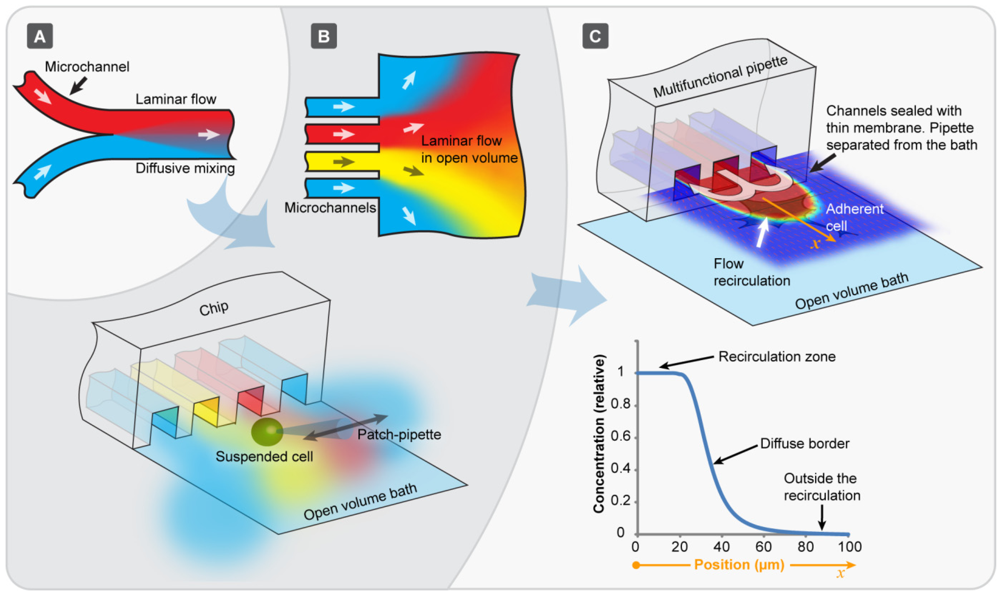 Micromachines Free FullText Hydrodynamic Flow Confinement