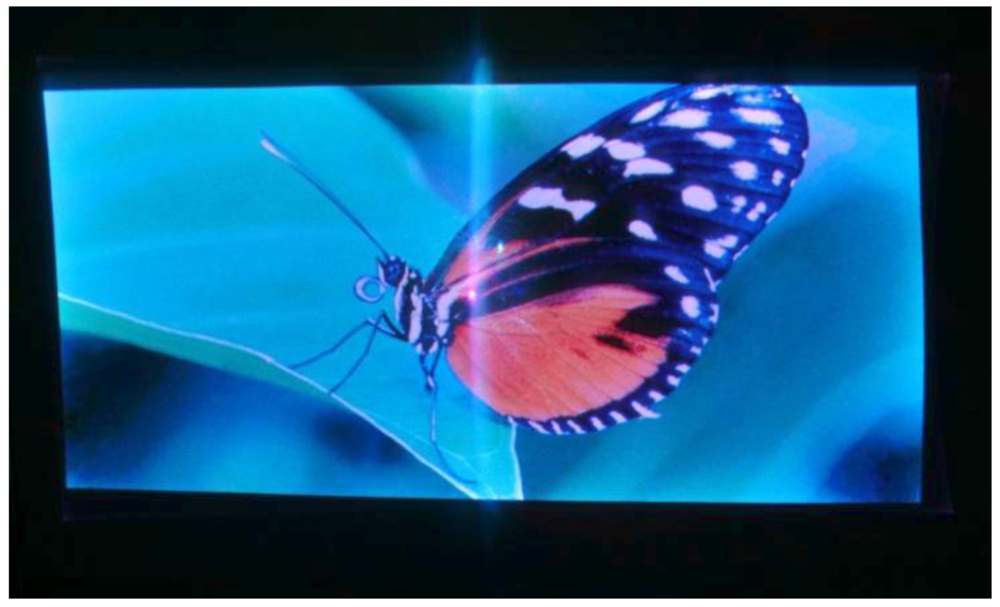 Micromachines 03 00509 g021 1024