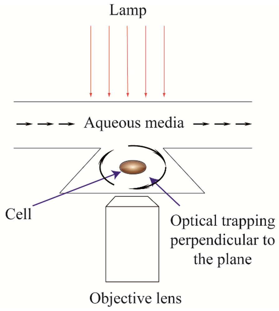 Micromachines 03 00529 g001