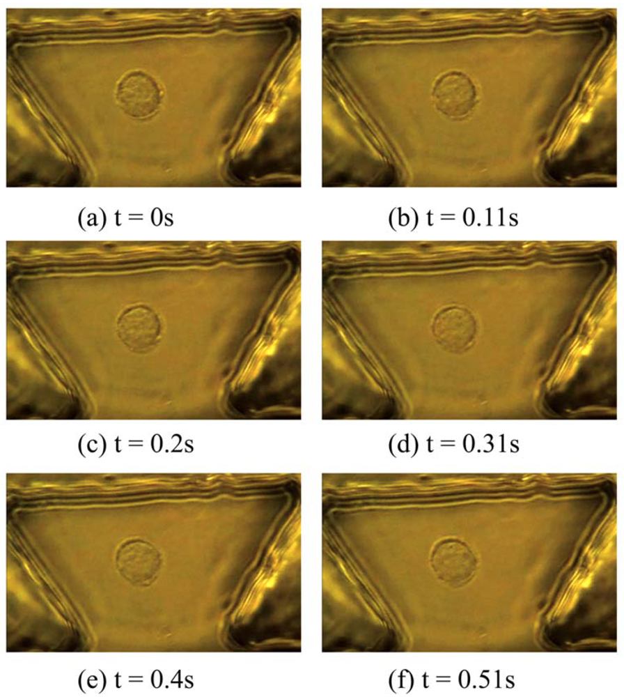 Micromachines 03 00529 g006