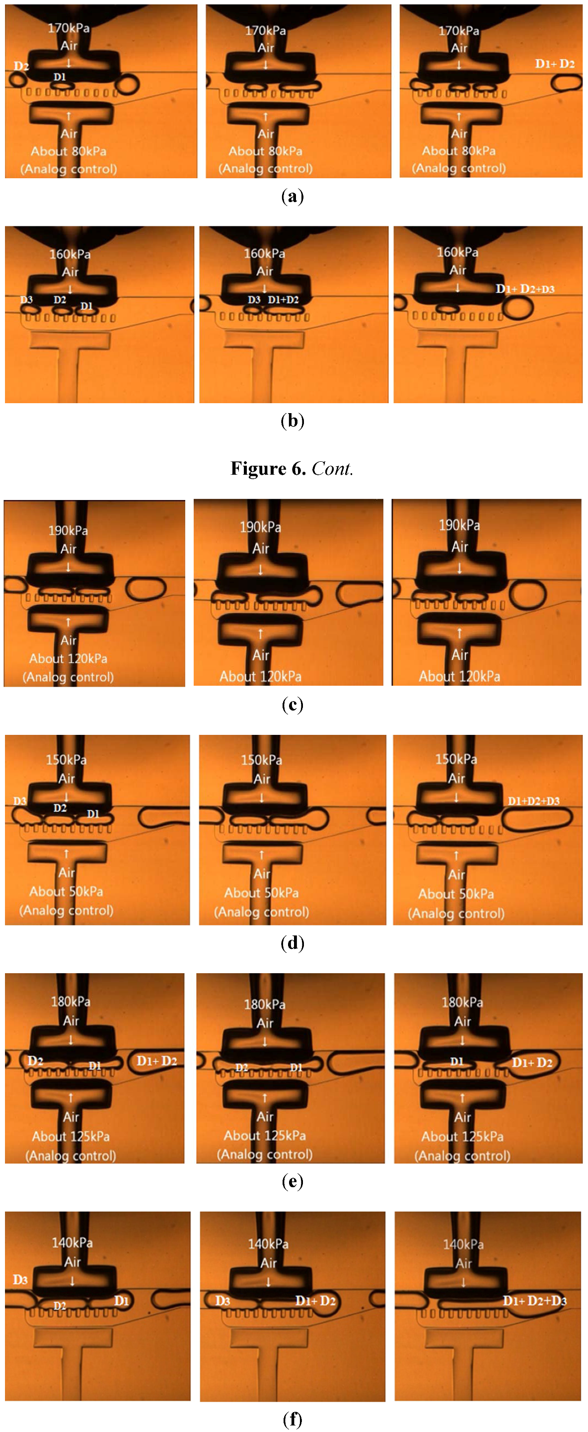 Micromachines 04 00034 g006 1024