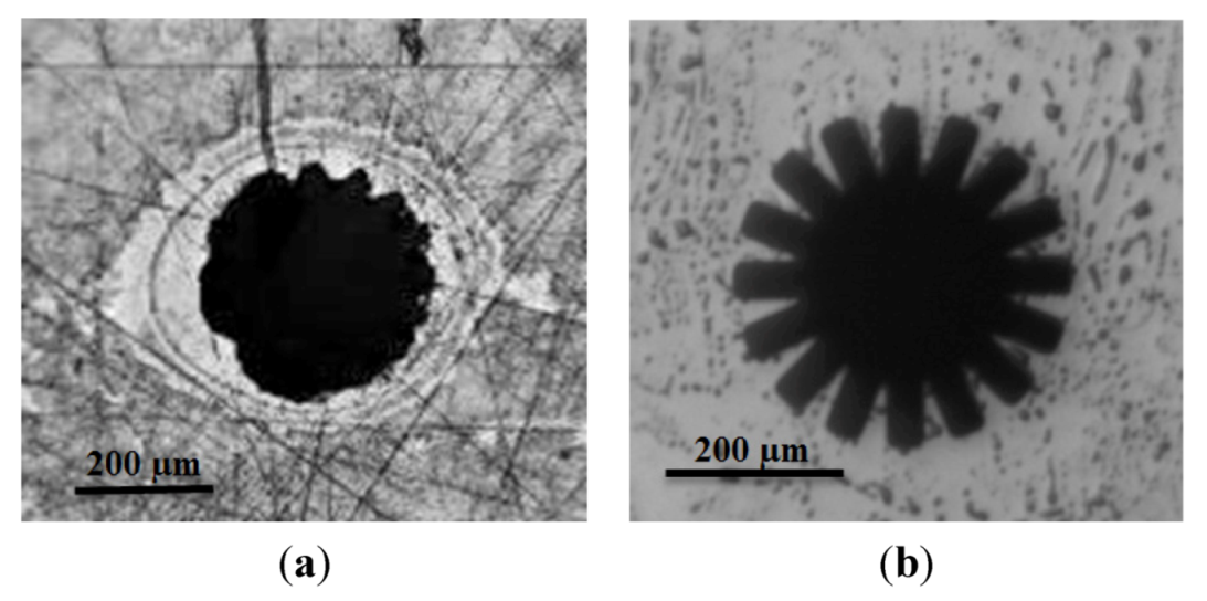 Micromachines 04 00049 g005 1024