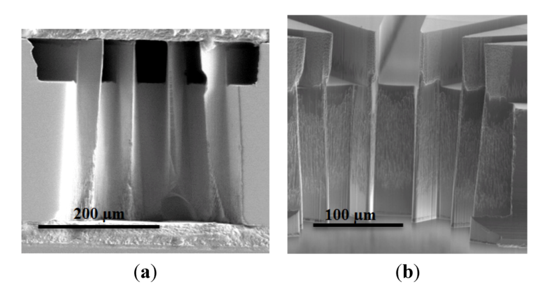 Micromachines 04 00049 g006 1024