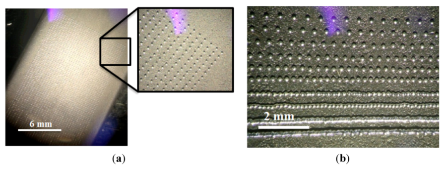 Micromachines 04 00049 g013 1024