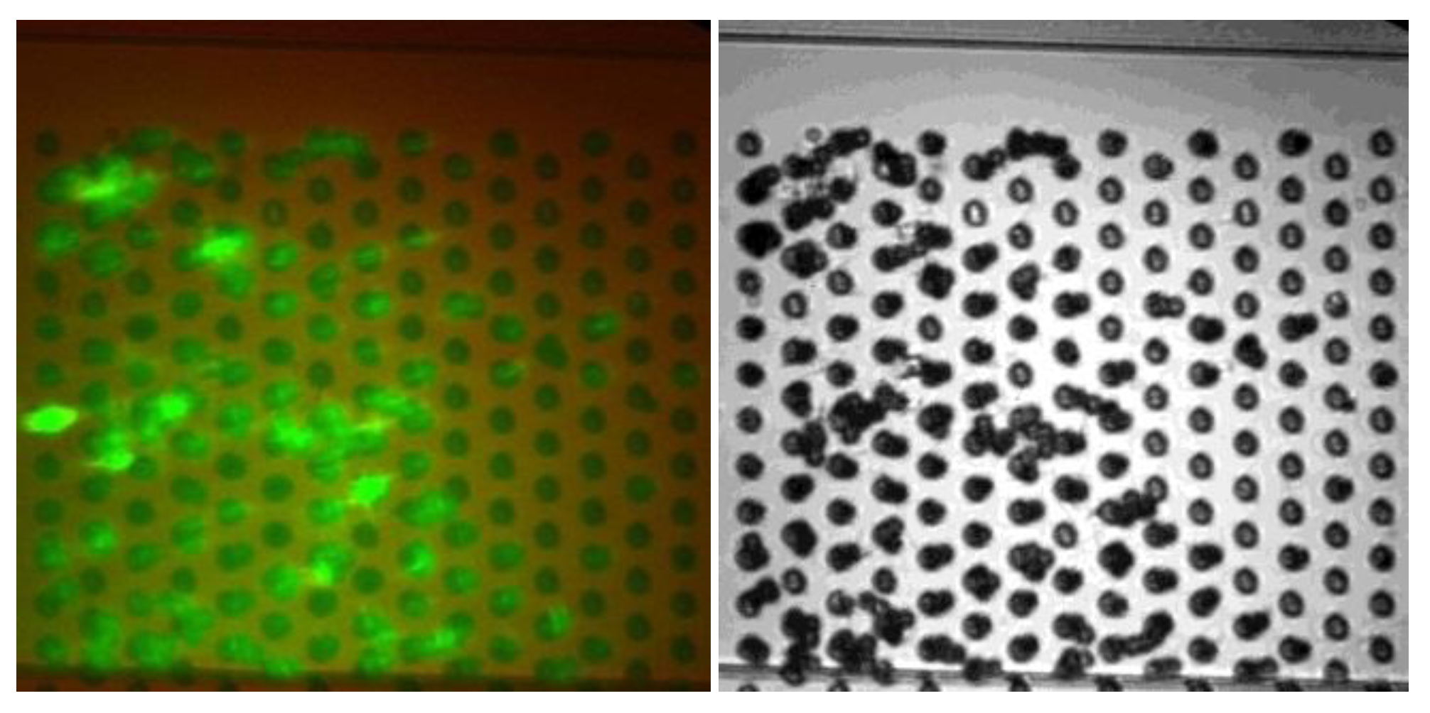 Micromachines 04 00103 g009 1024