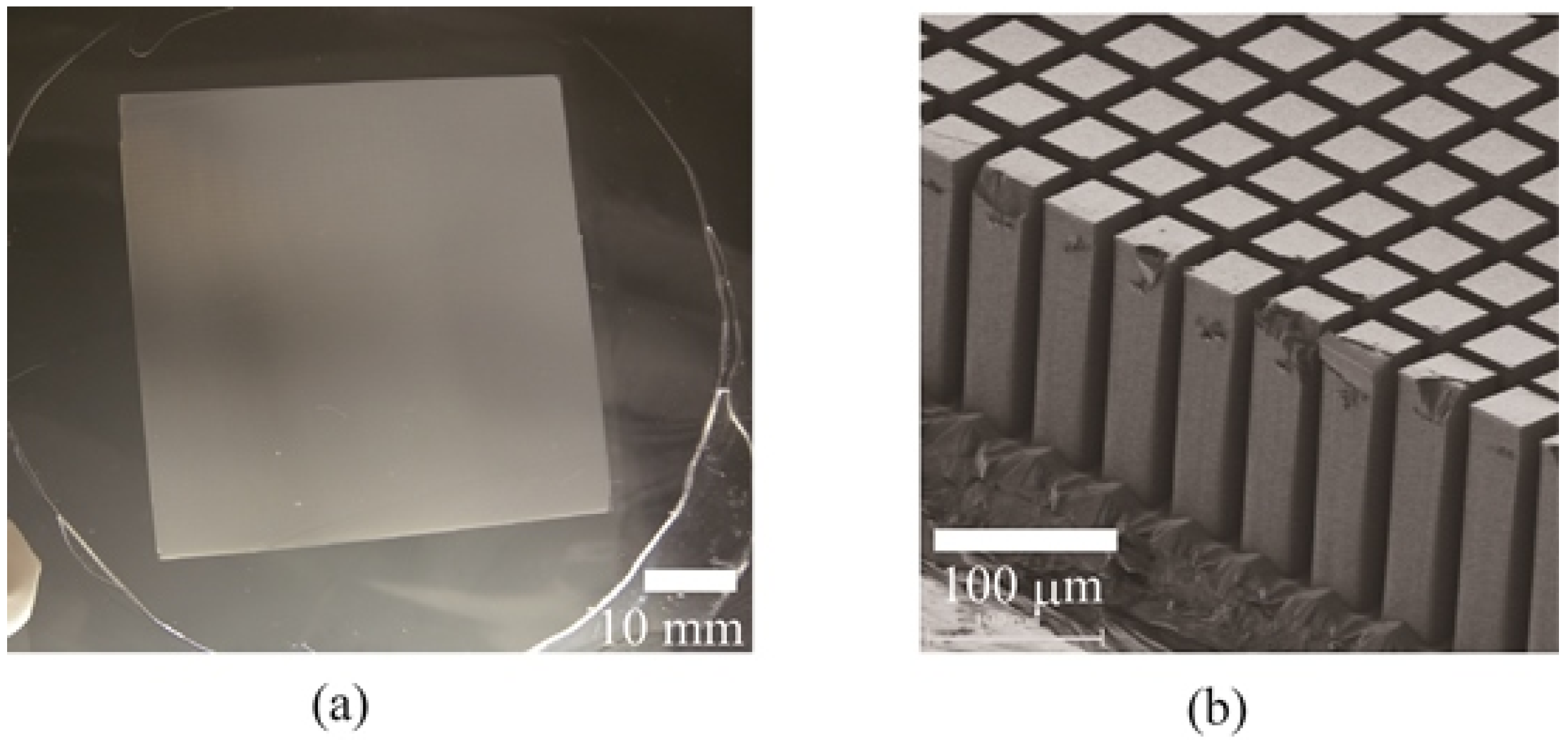 Micromachines 04 00157 g005 1024