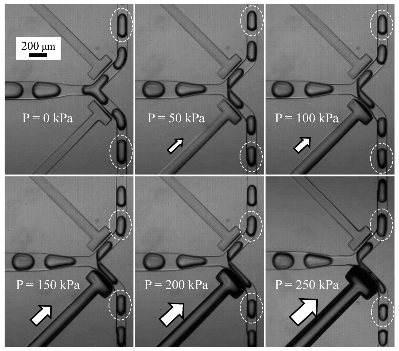 Micromachines 04 00197 g005