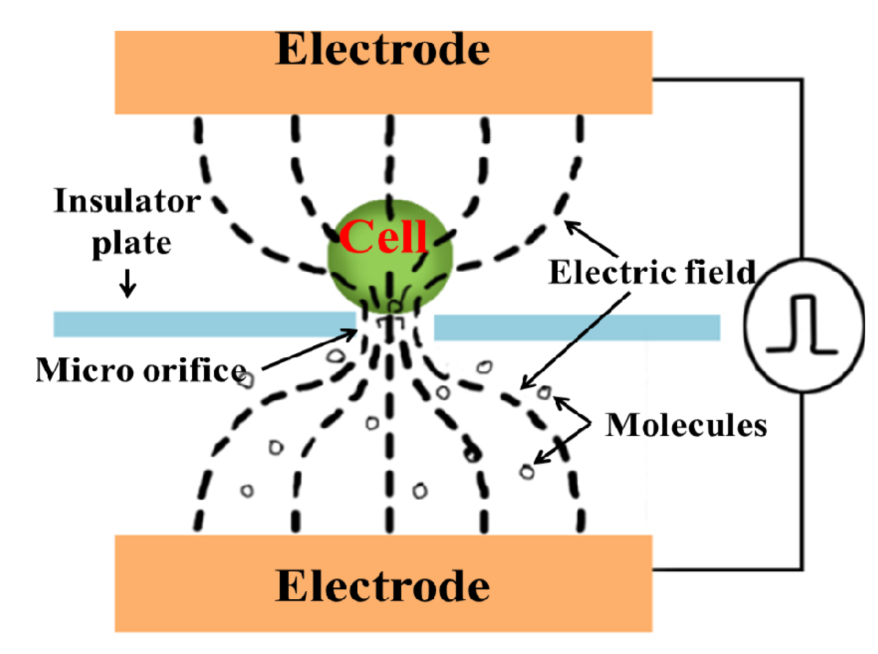 Micromachines 04 00333 g005 1024