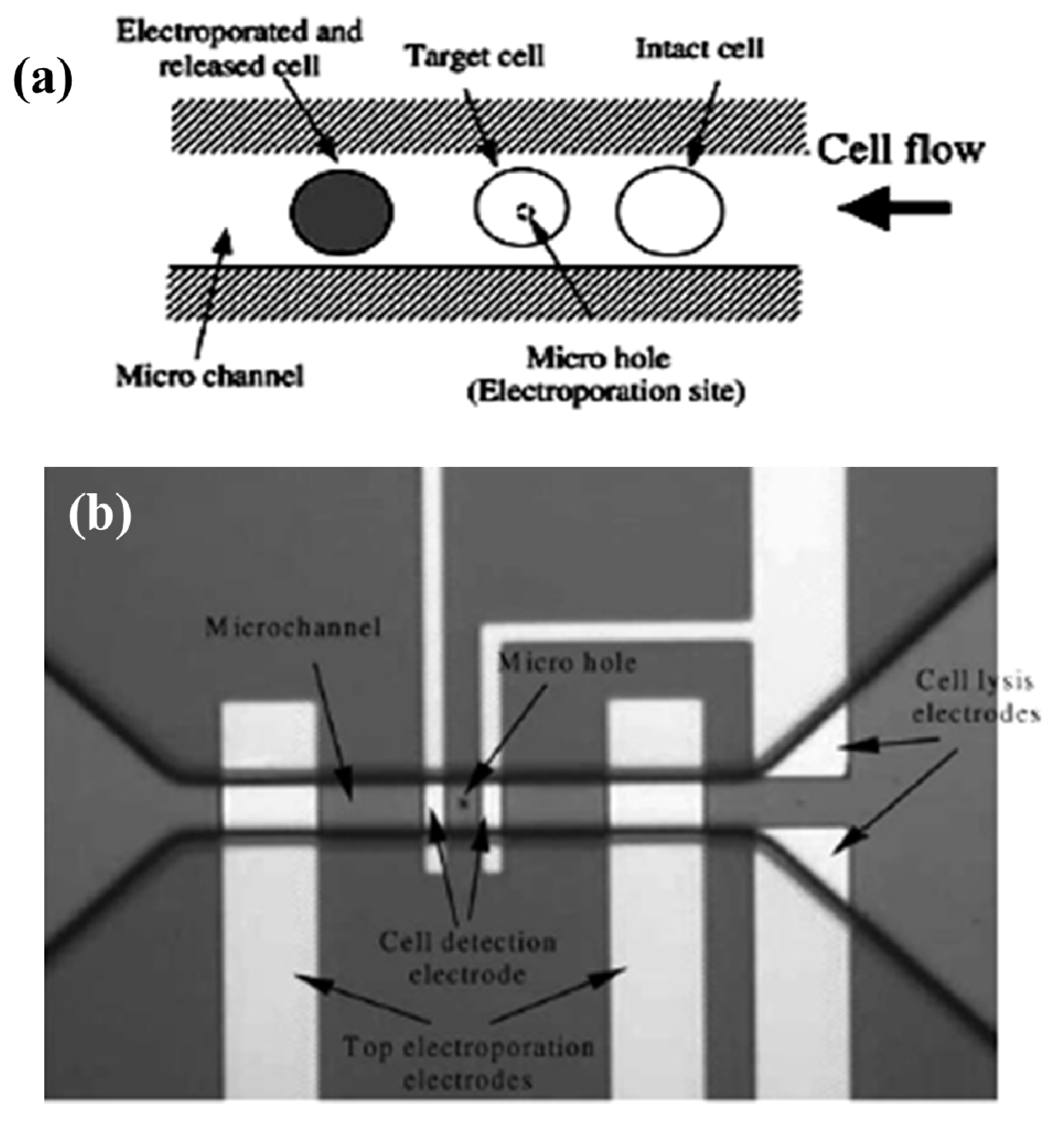 Micromachines 04 00333 g006