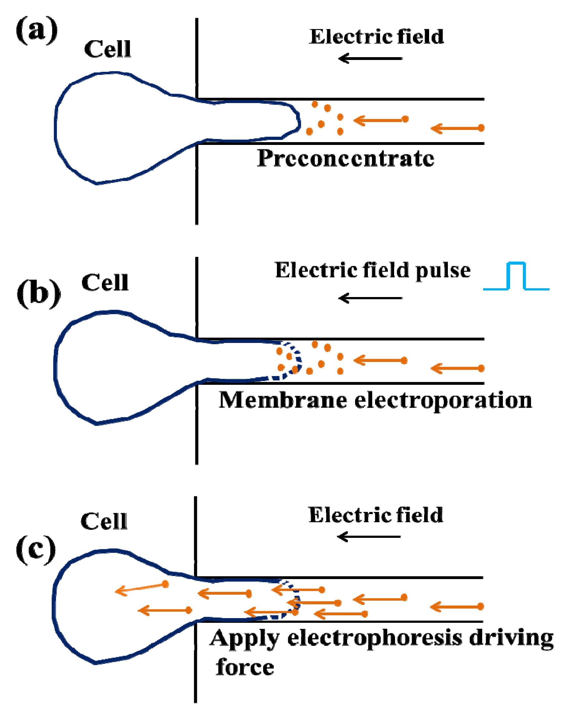 Micromachines Free Full Text Recent Trends On Micro Nanofluidic