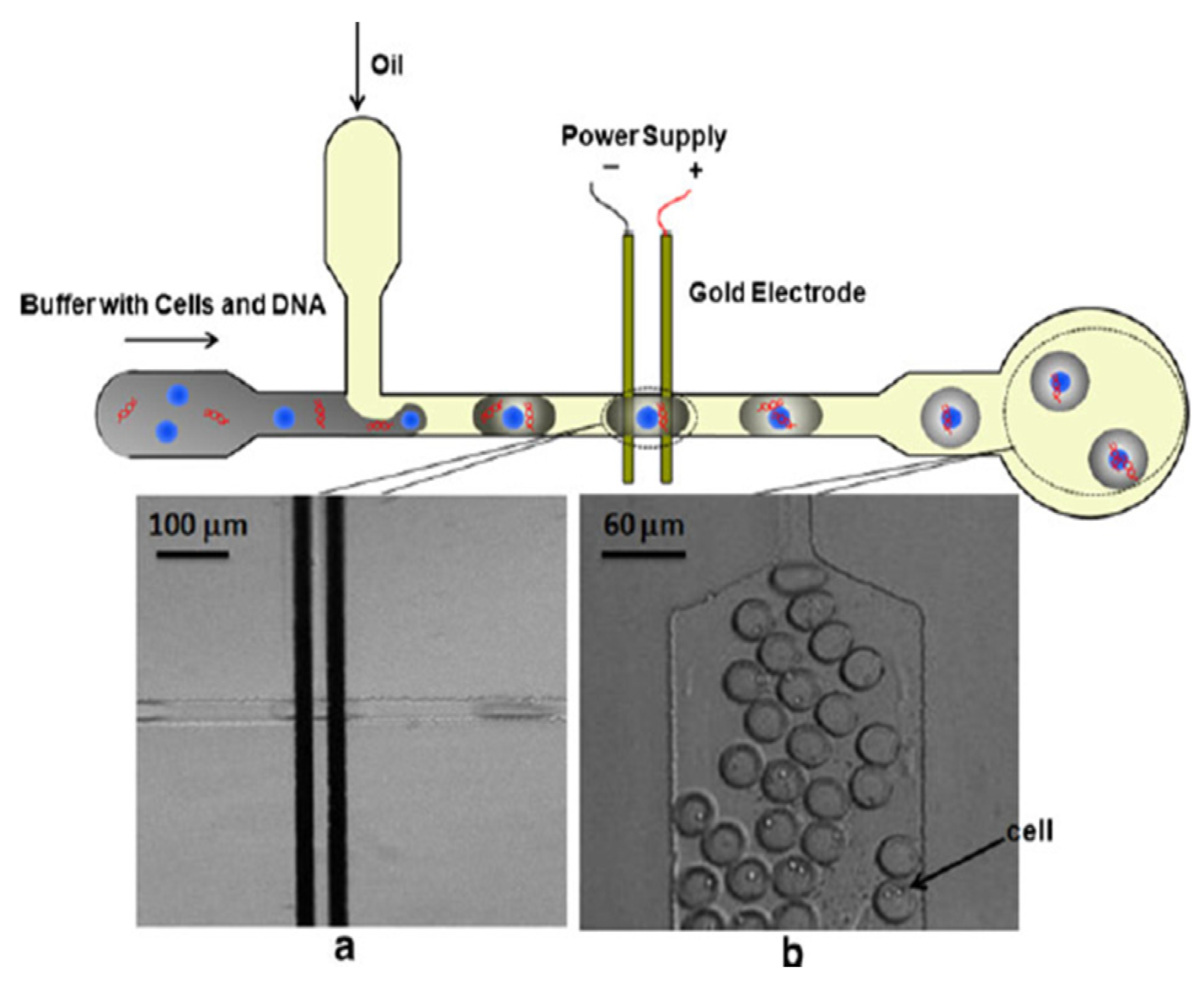 Micromachines 04 00333 g008