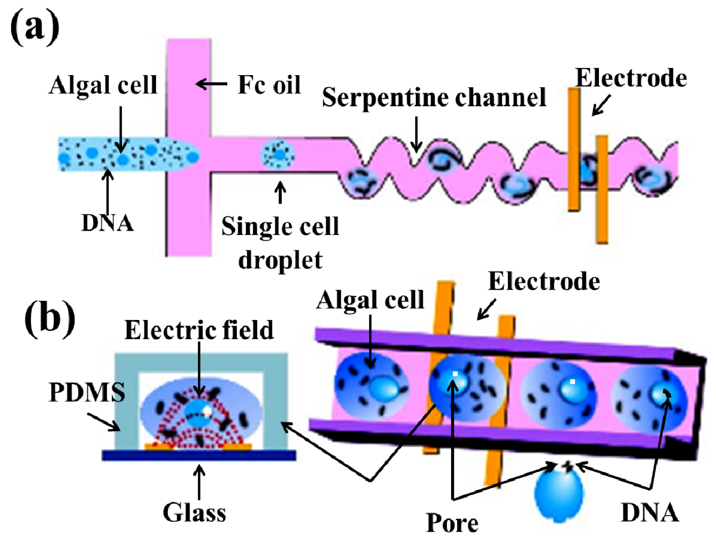 Micromachines Free Full Text Recent Trends On Micro Nanofluidic Micromachines Free Full Text Recent Trends On Micro Nanofluidic