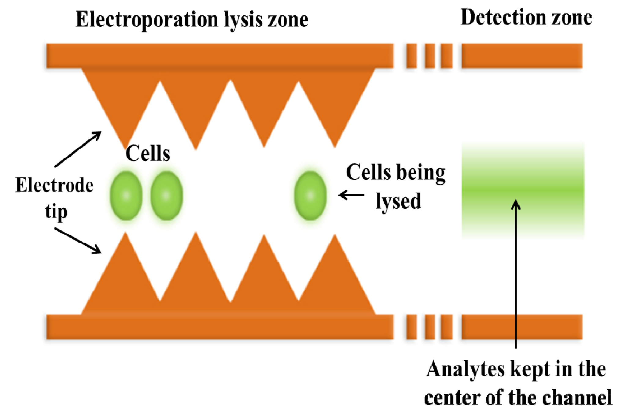 Micromachines 04 00333 g010