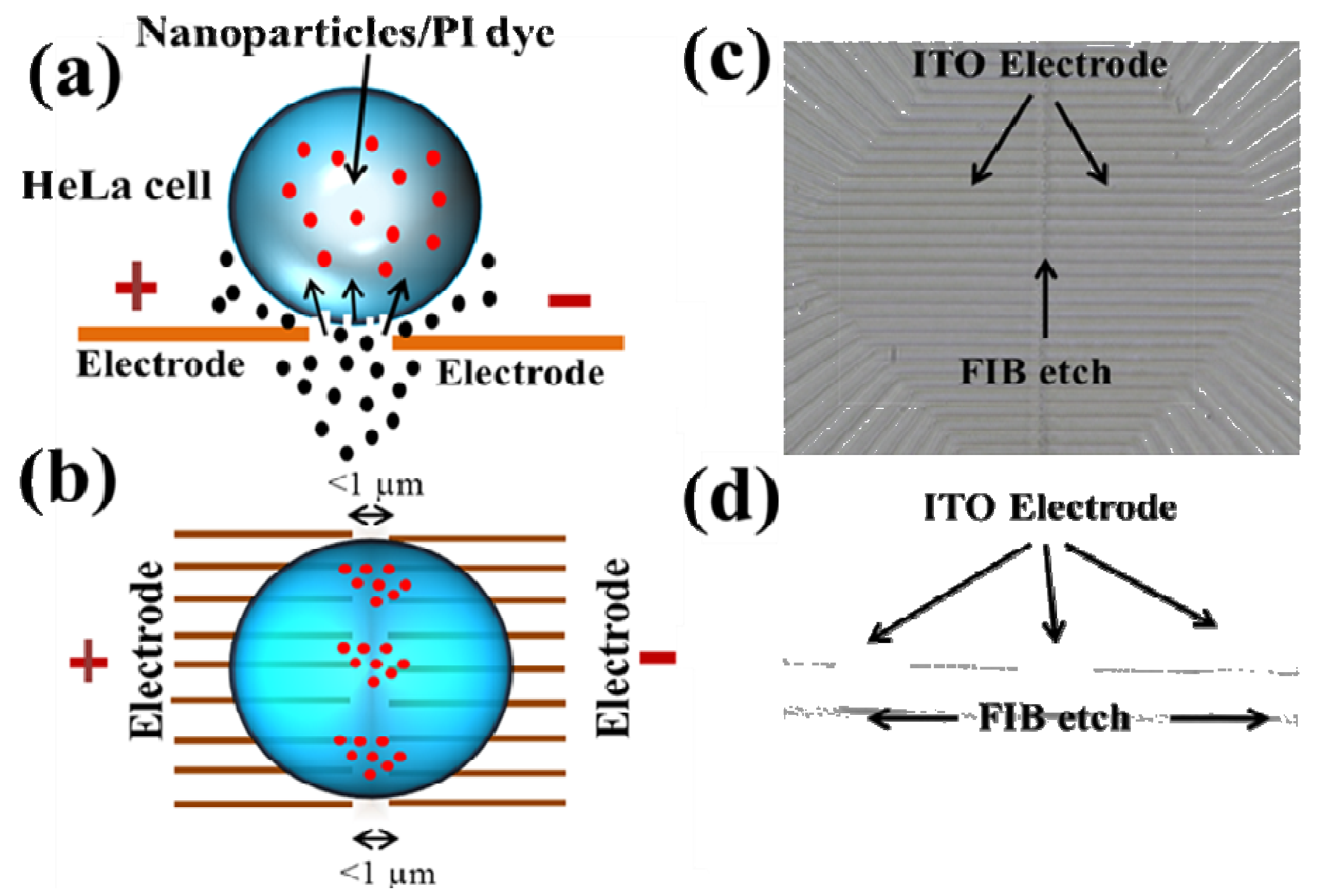 Micromachines Free Full Text Recent Trends On Micro Nanofluidic Micromachines Free Full Text Recent Trends On Micro Nanofluidic