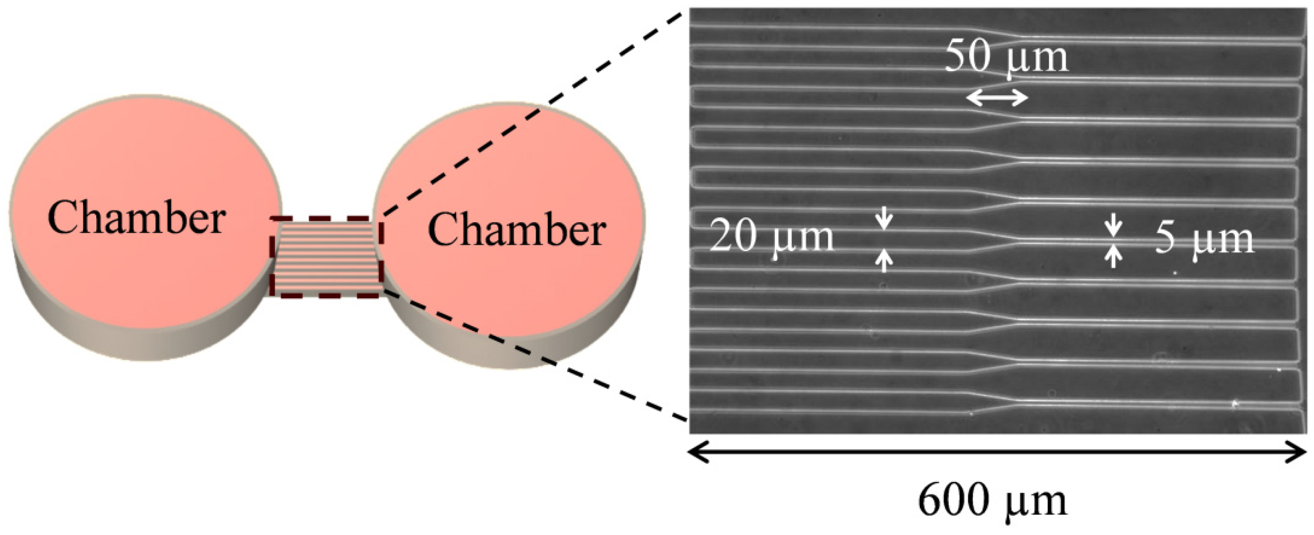 Micromachines 05 00013 g001