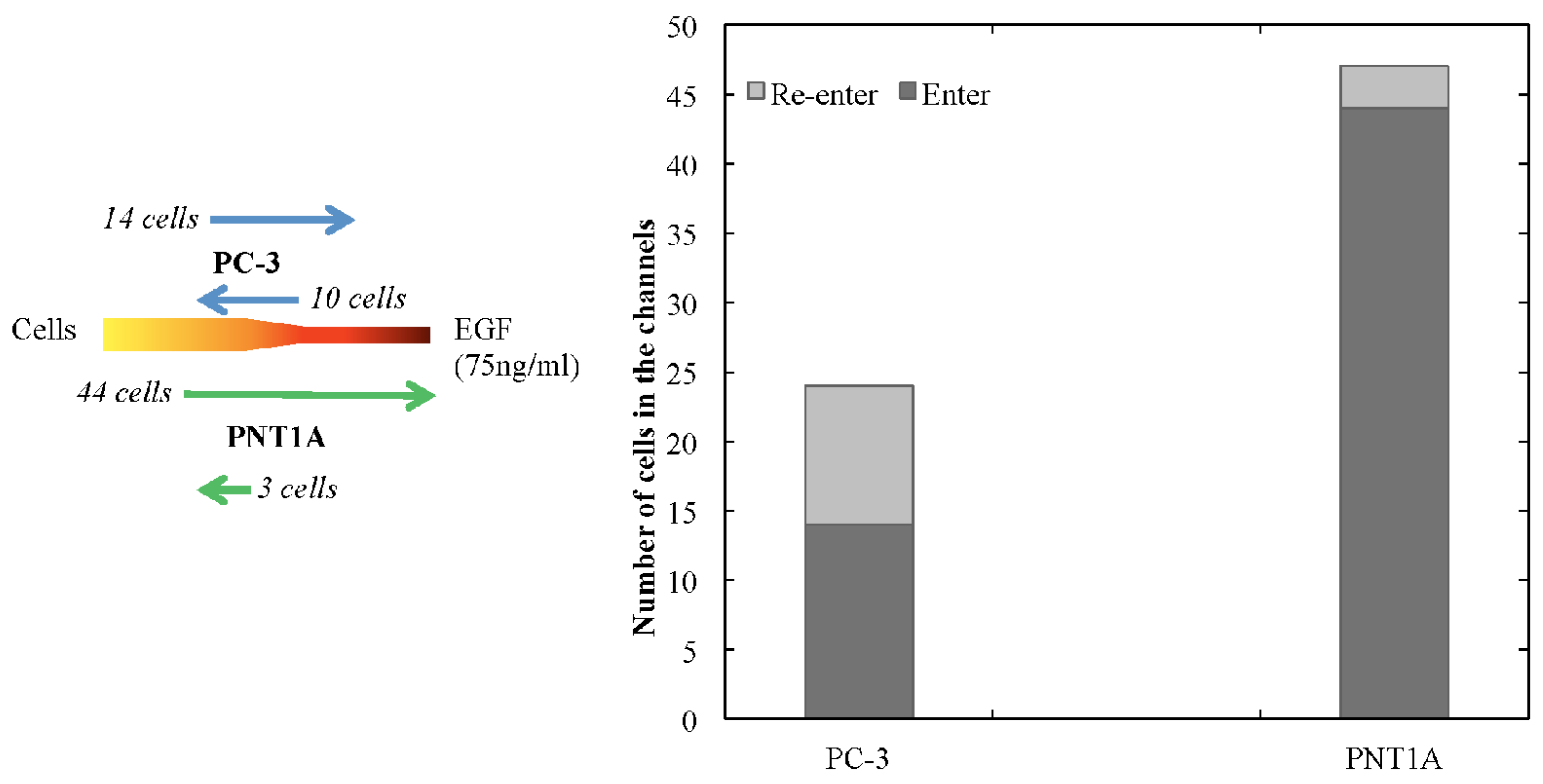 Micromachines 05 00013 g003