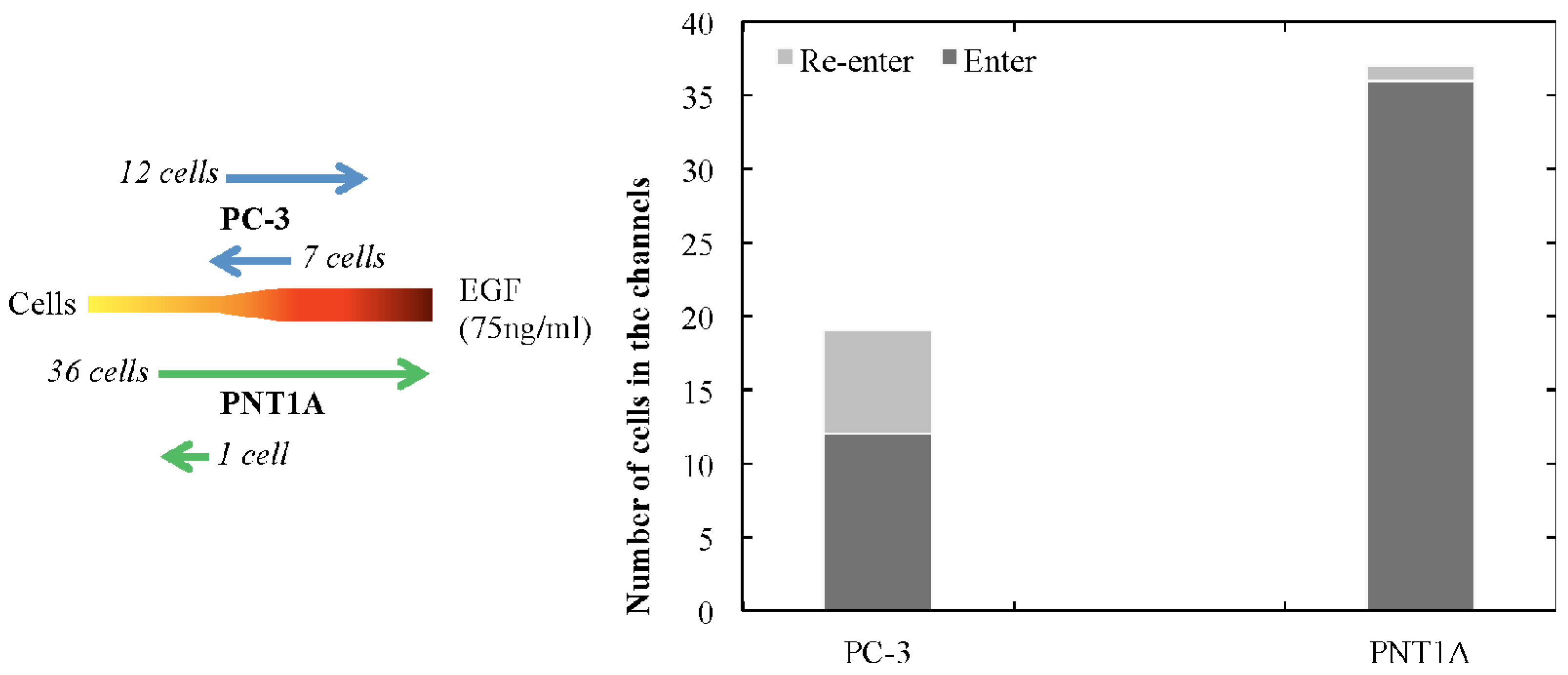 Micromachines 05 00013 g005