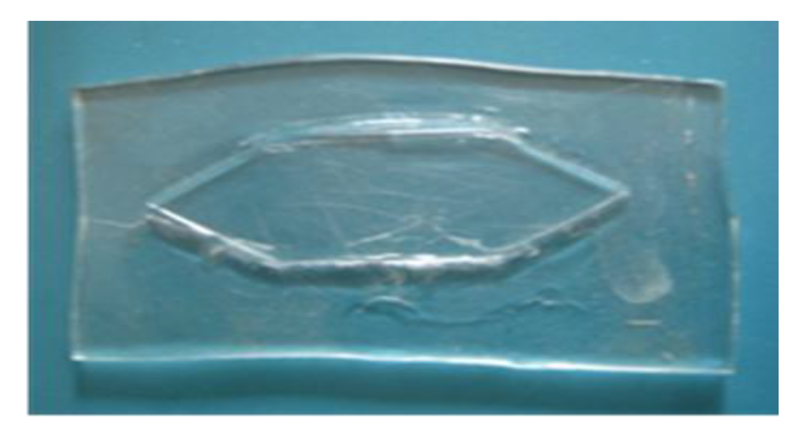 Micromachines 05 00139 g008 1024