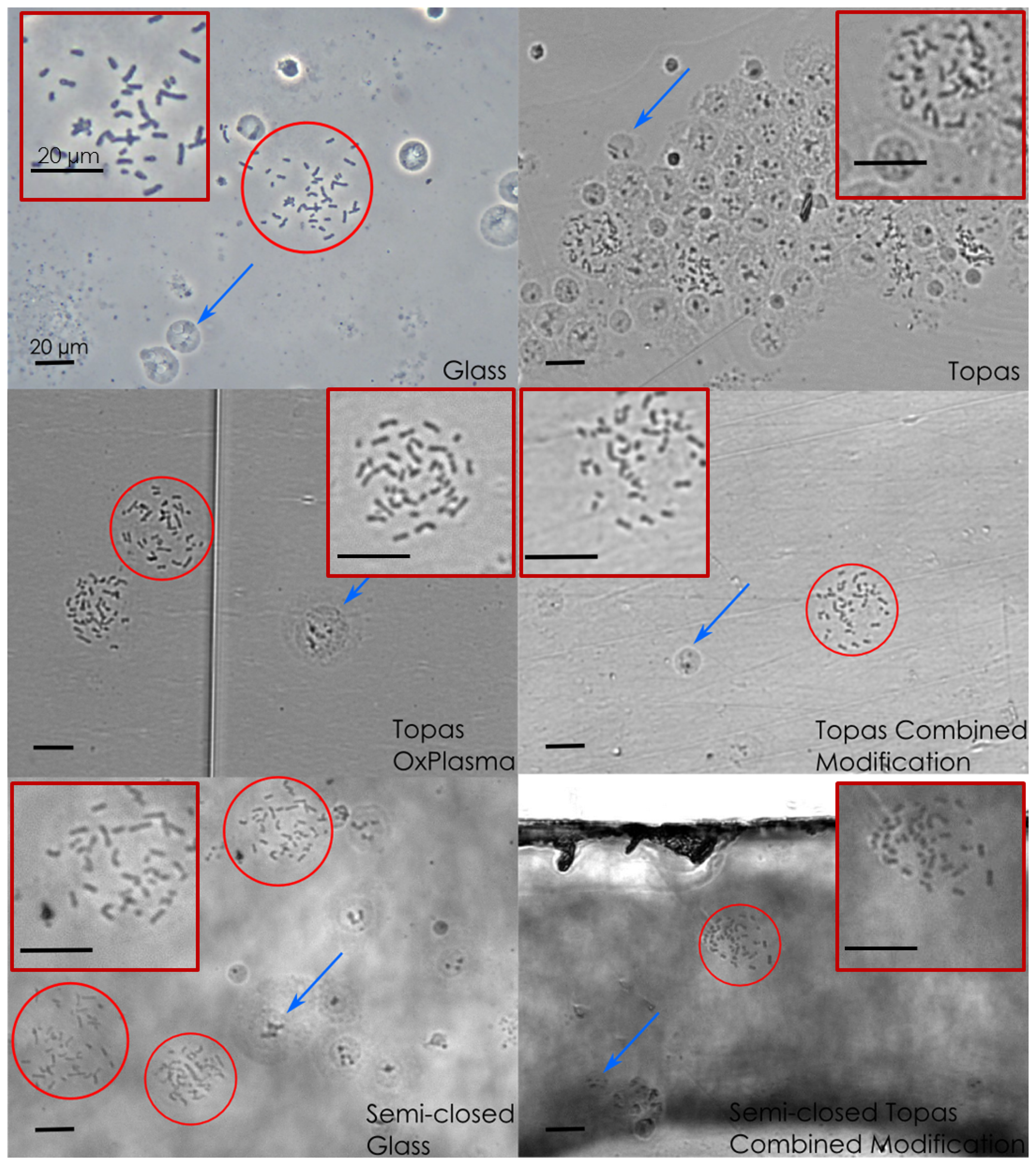 Micromachines 05 00158 g002 1024