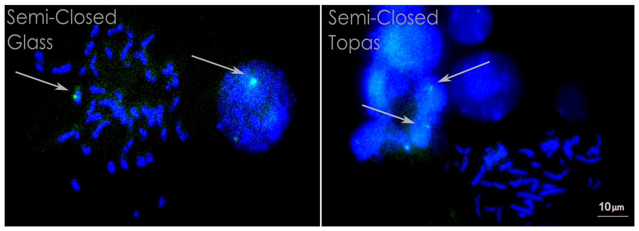 Micromachines 05 00158 g005 1024