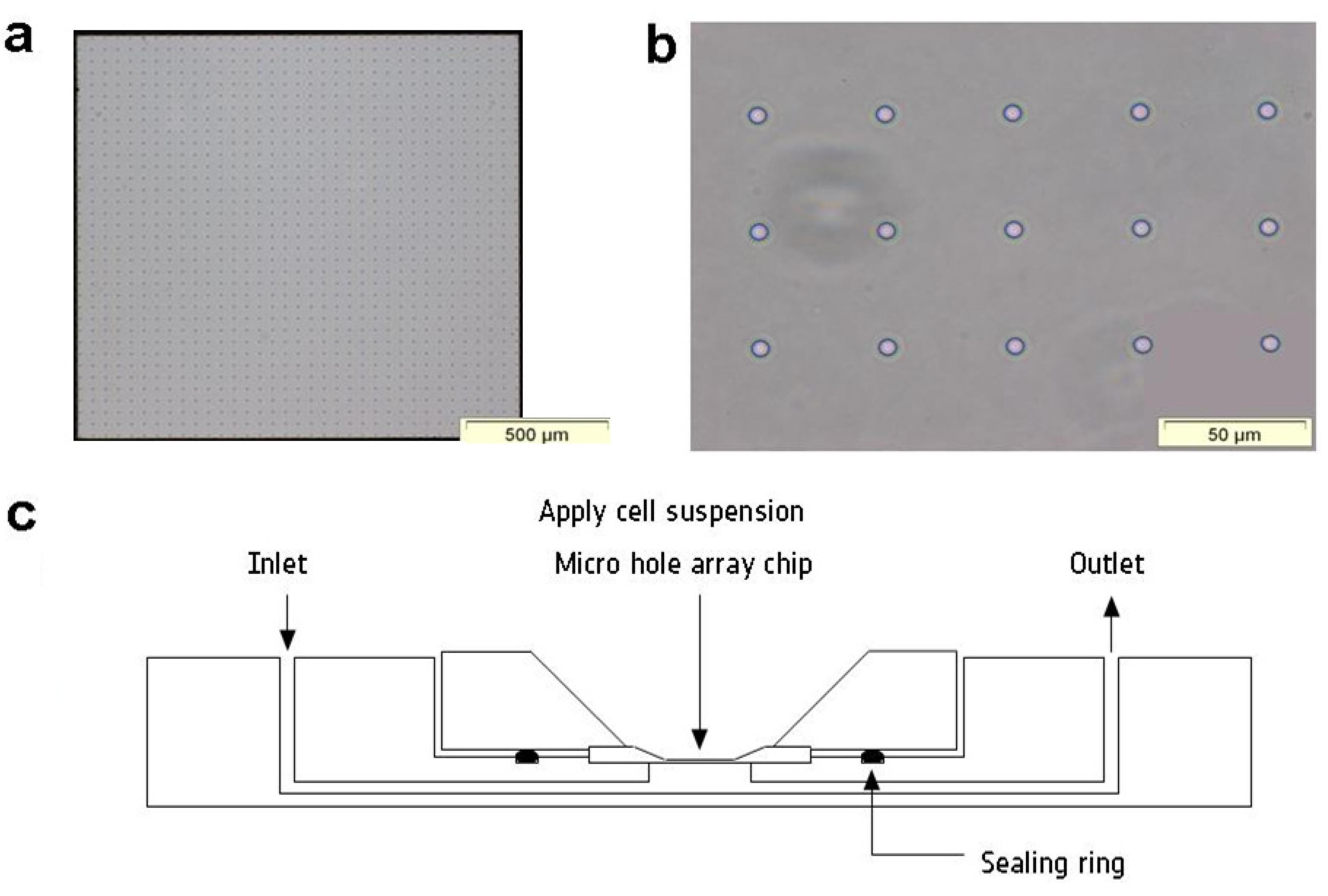 Micromachines 05 00204 g001